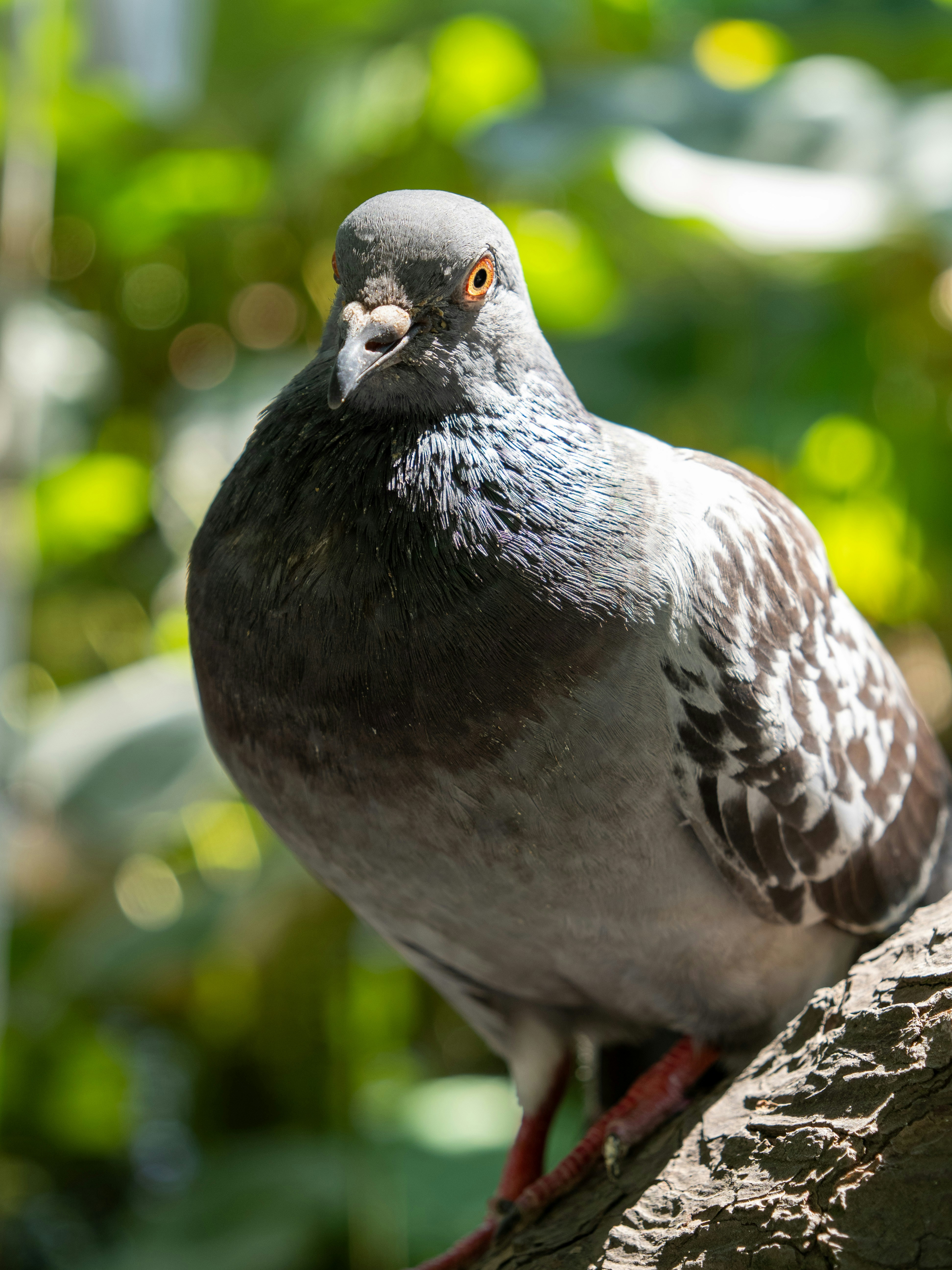 Photo by shellingfordyu