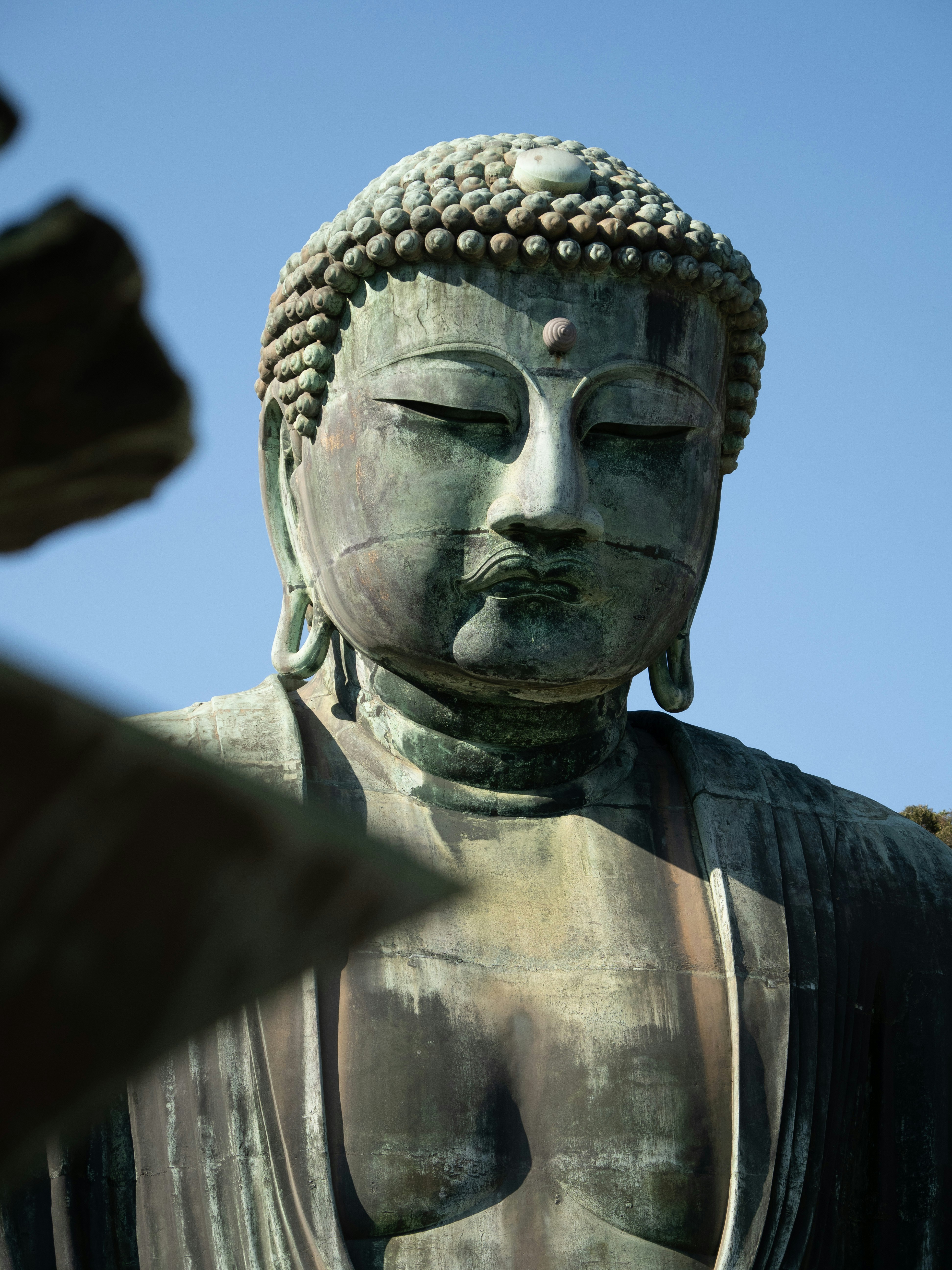 Photo by shellingfordyu