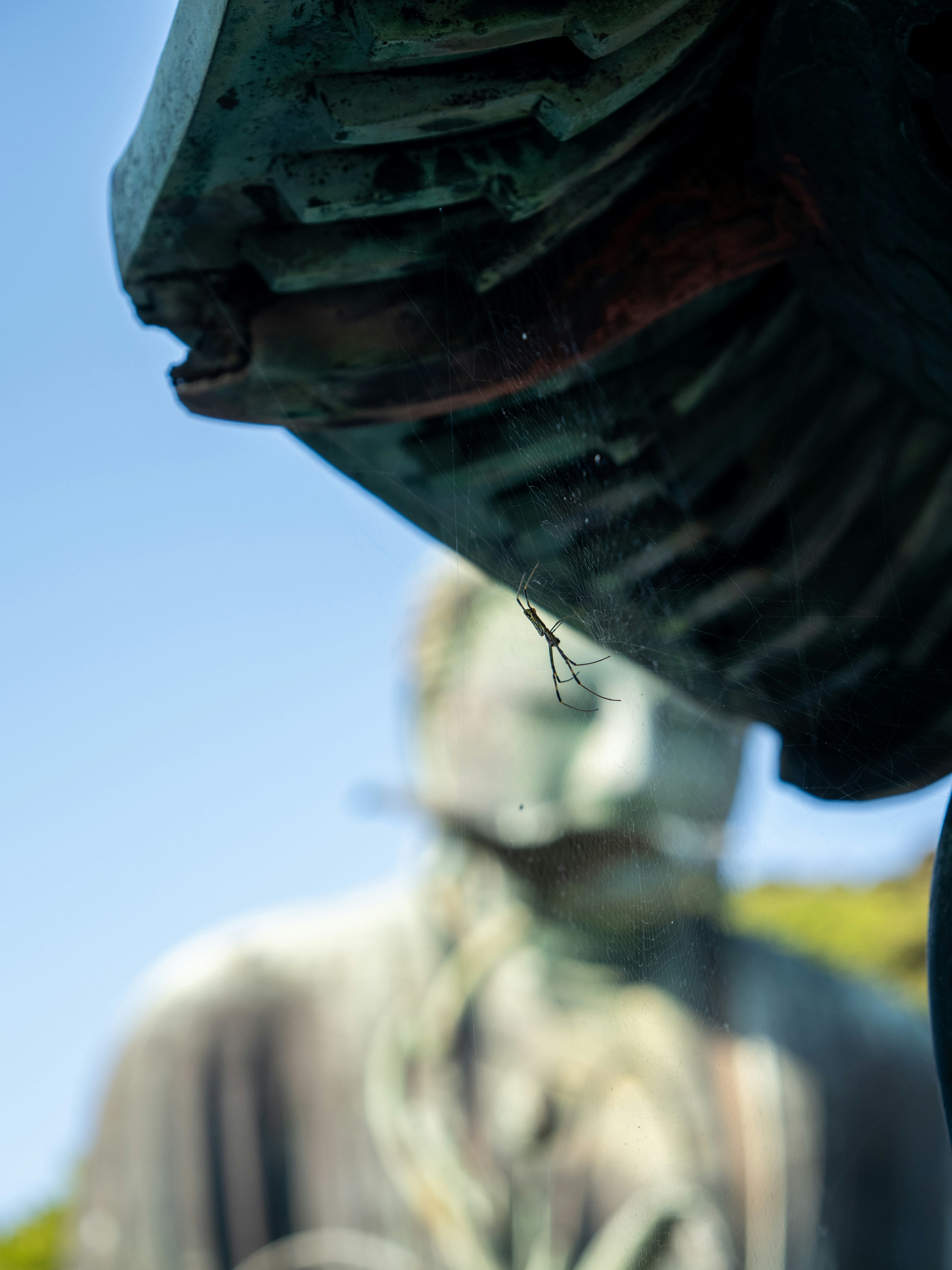 Photo by shellingfordyu