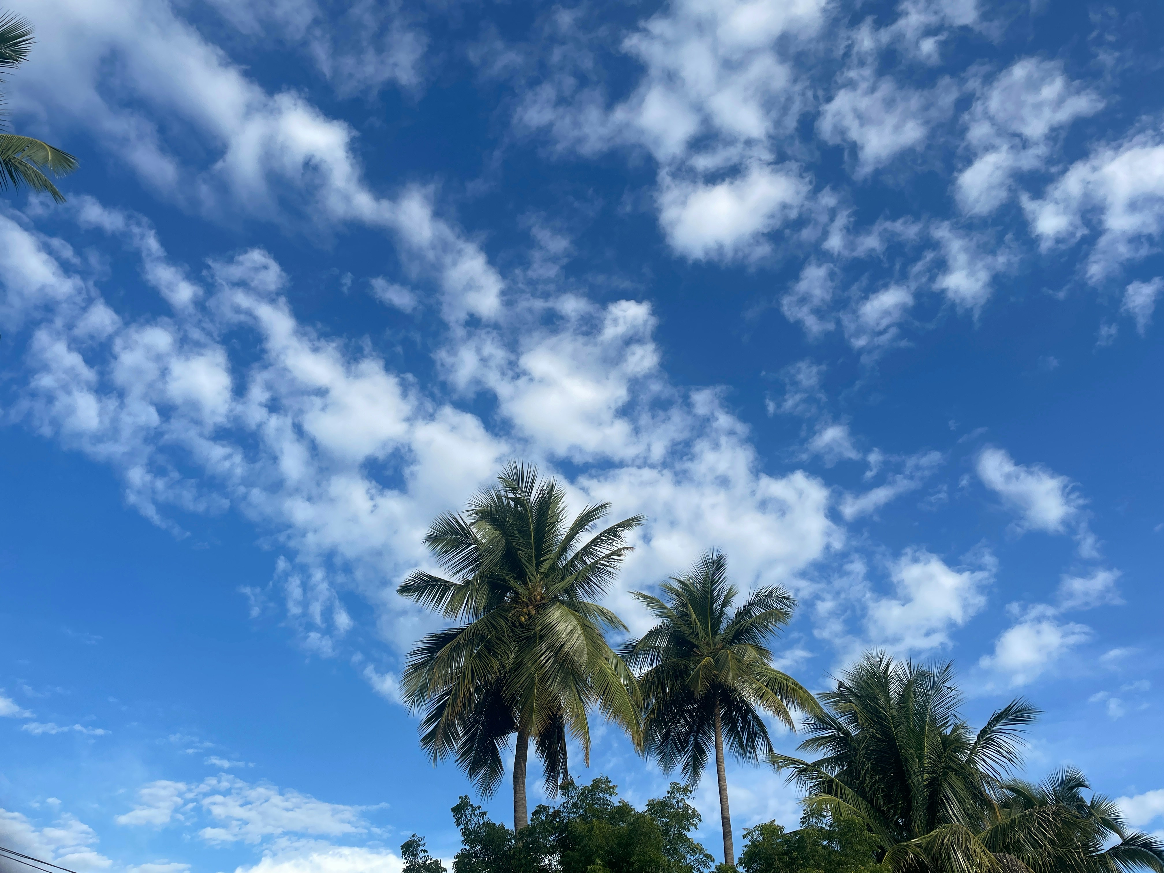 Photo by kavinkraken