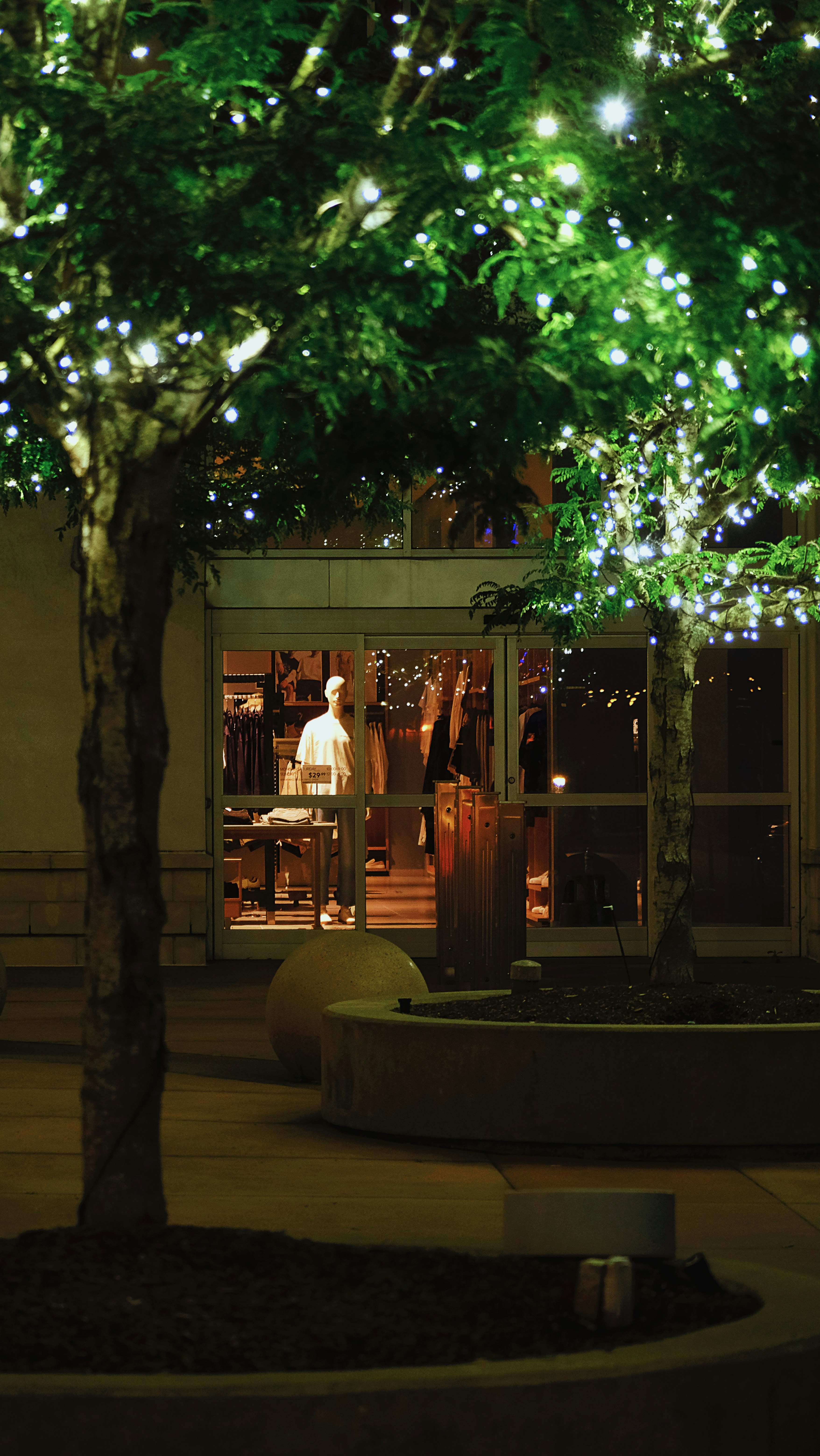 Photo by leiadakrozjhen