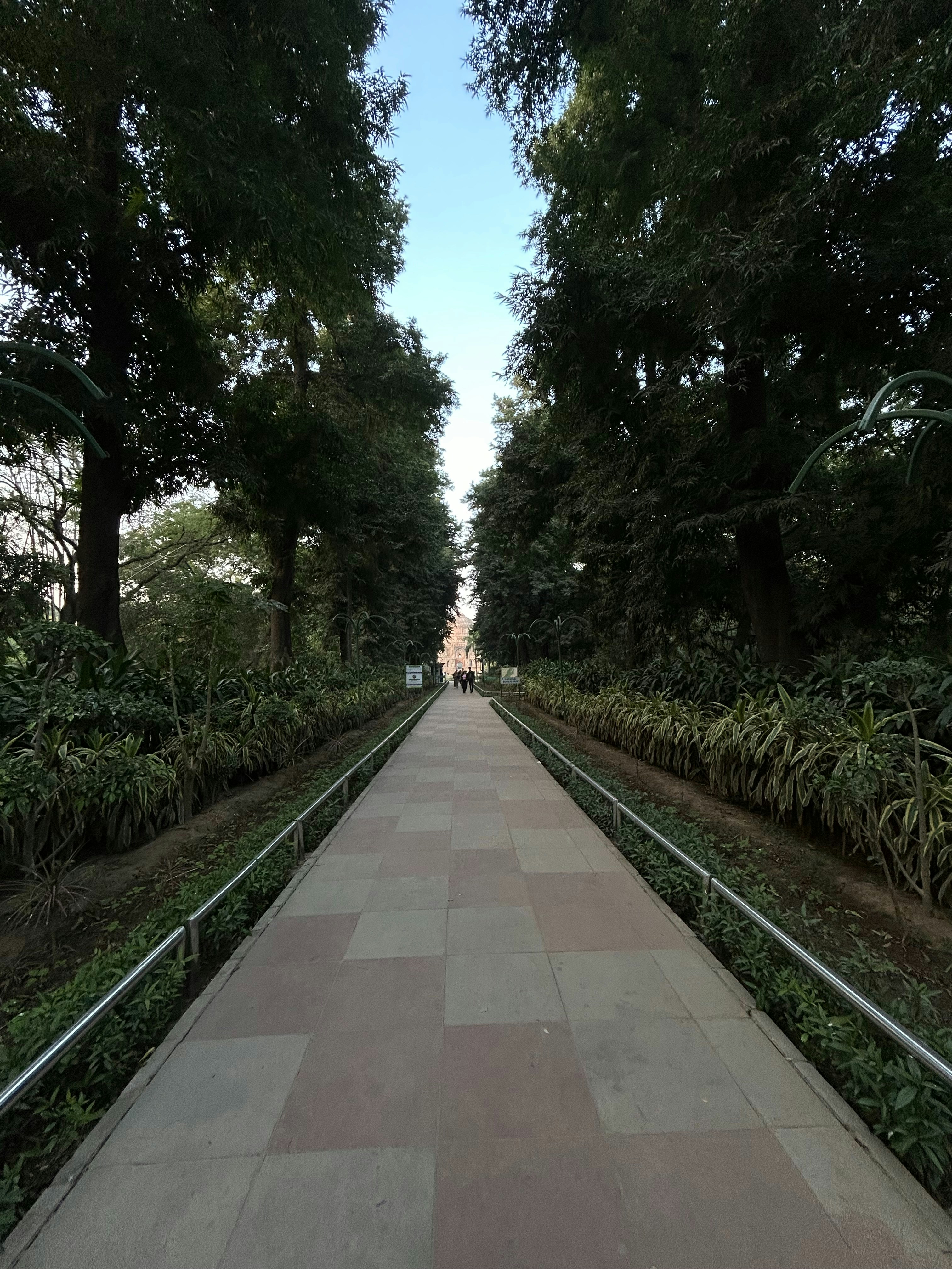 Photo by 420aperture