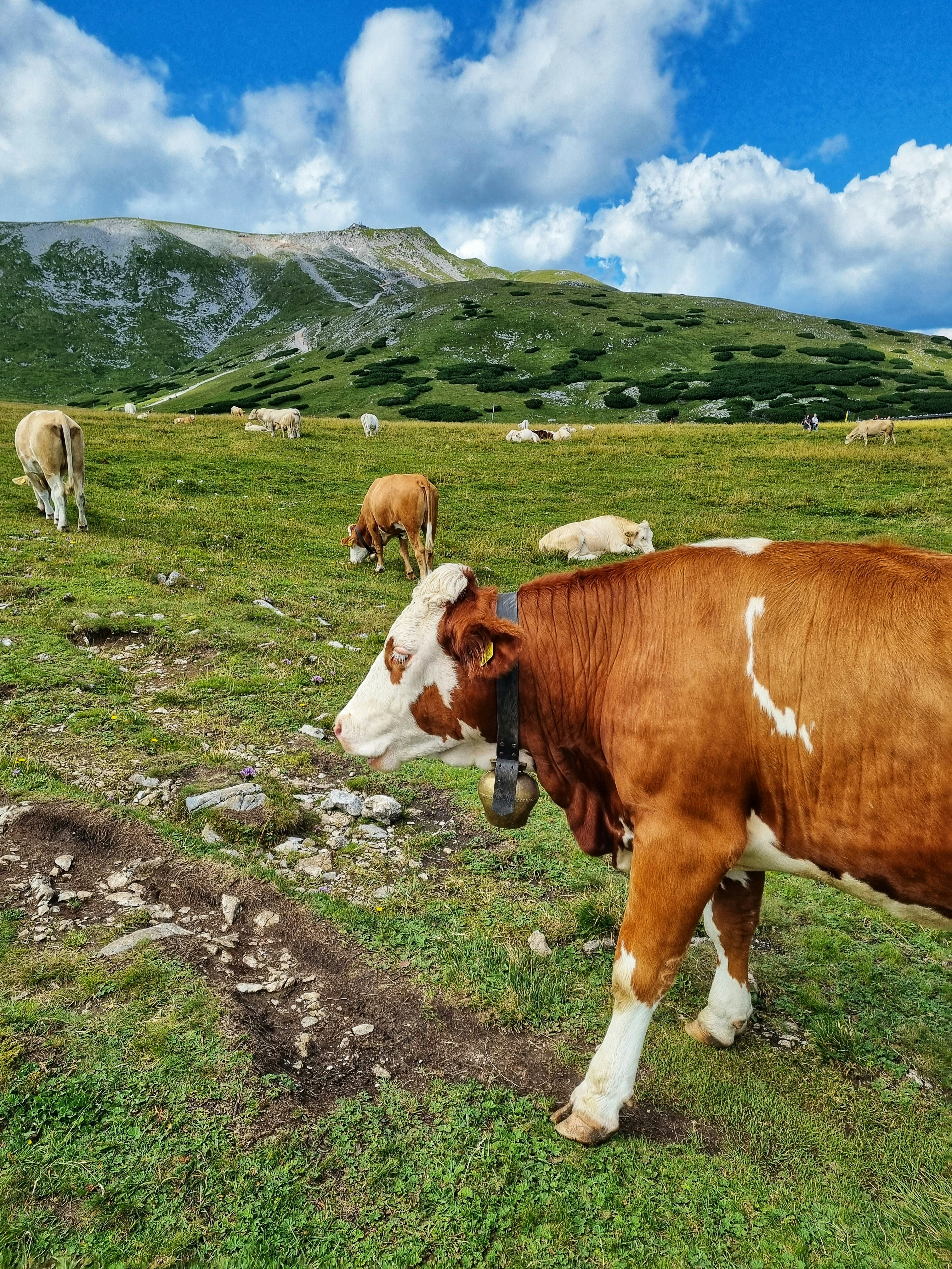 Photo by lazargugleta