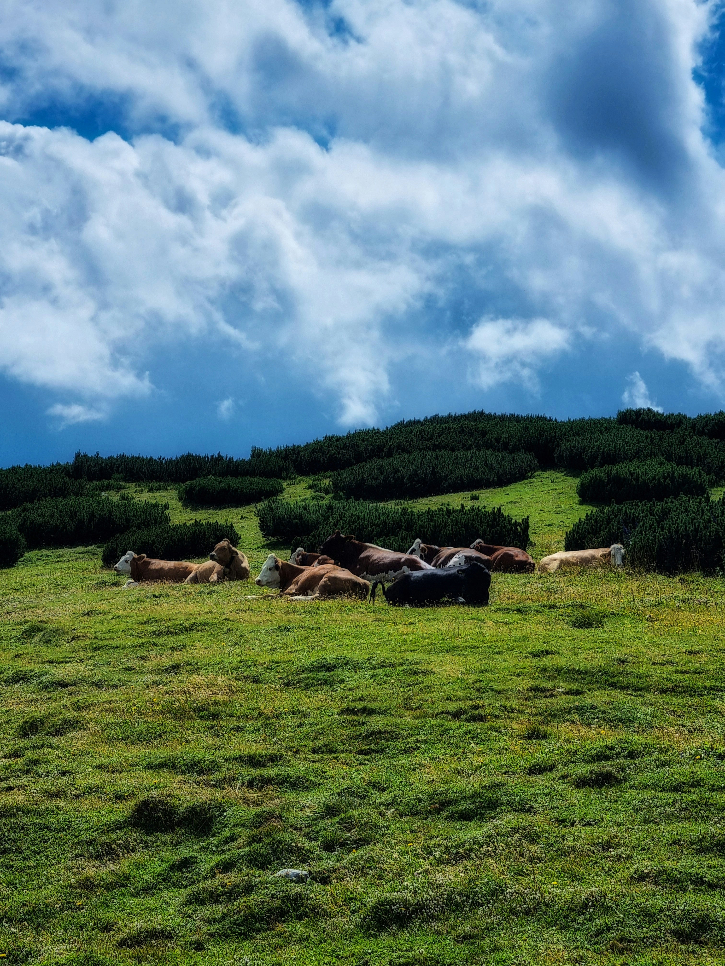 Practical Tools and Habits for Not Getting Caught Out