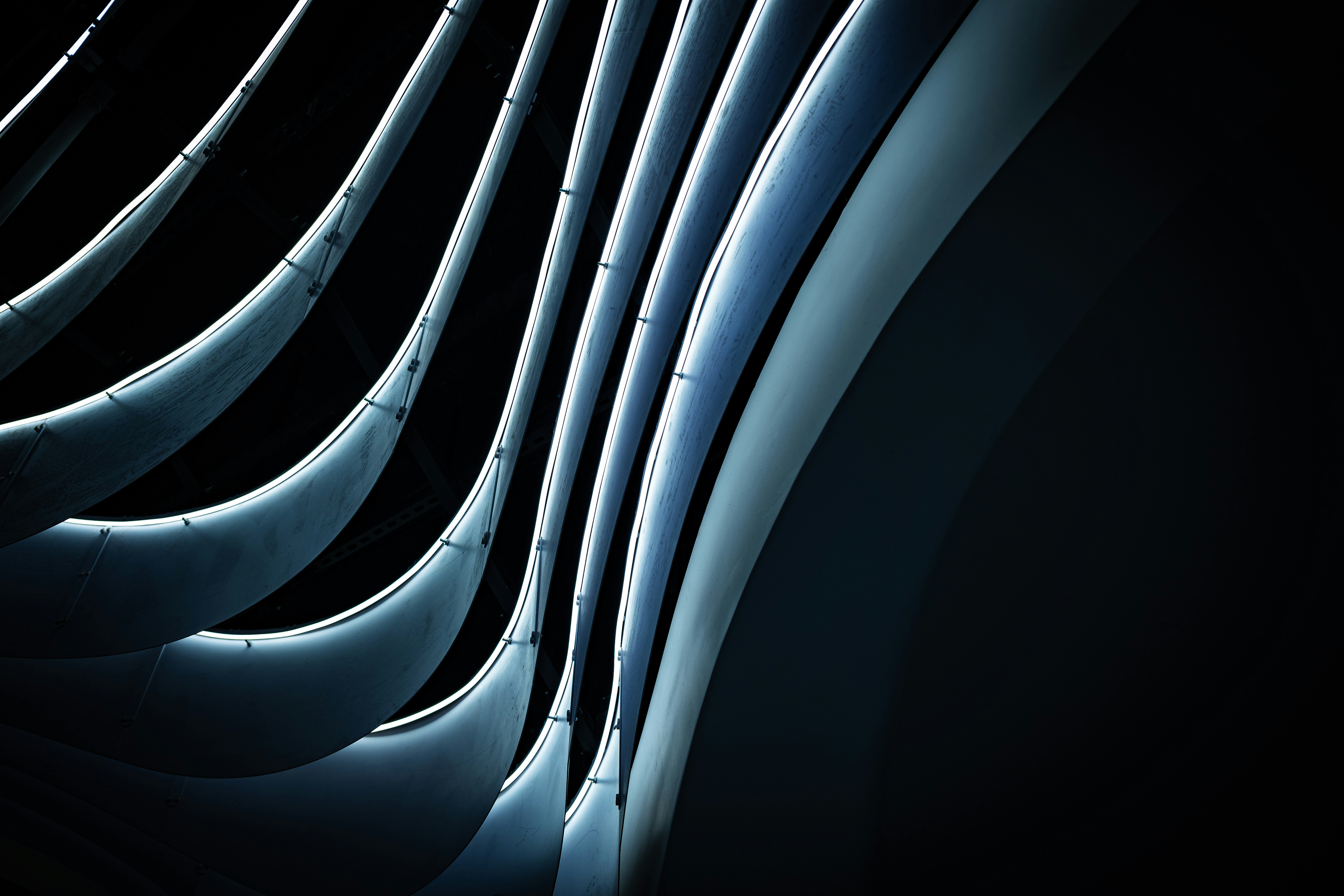 생명보험 특약 삭제란 무엇인가요? 이해와 절차