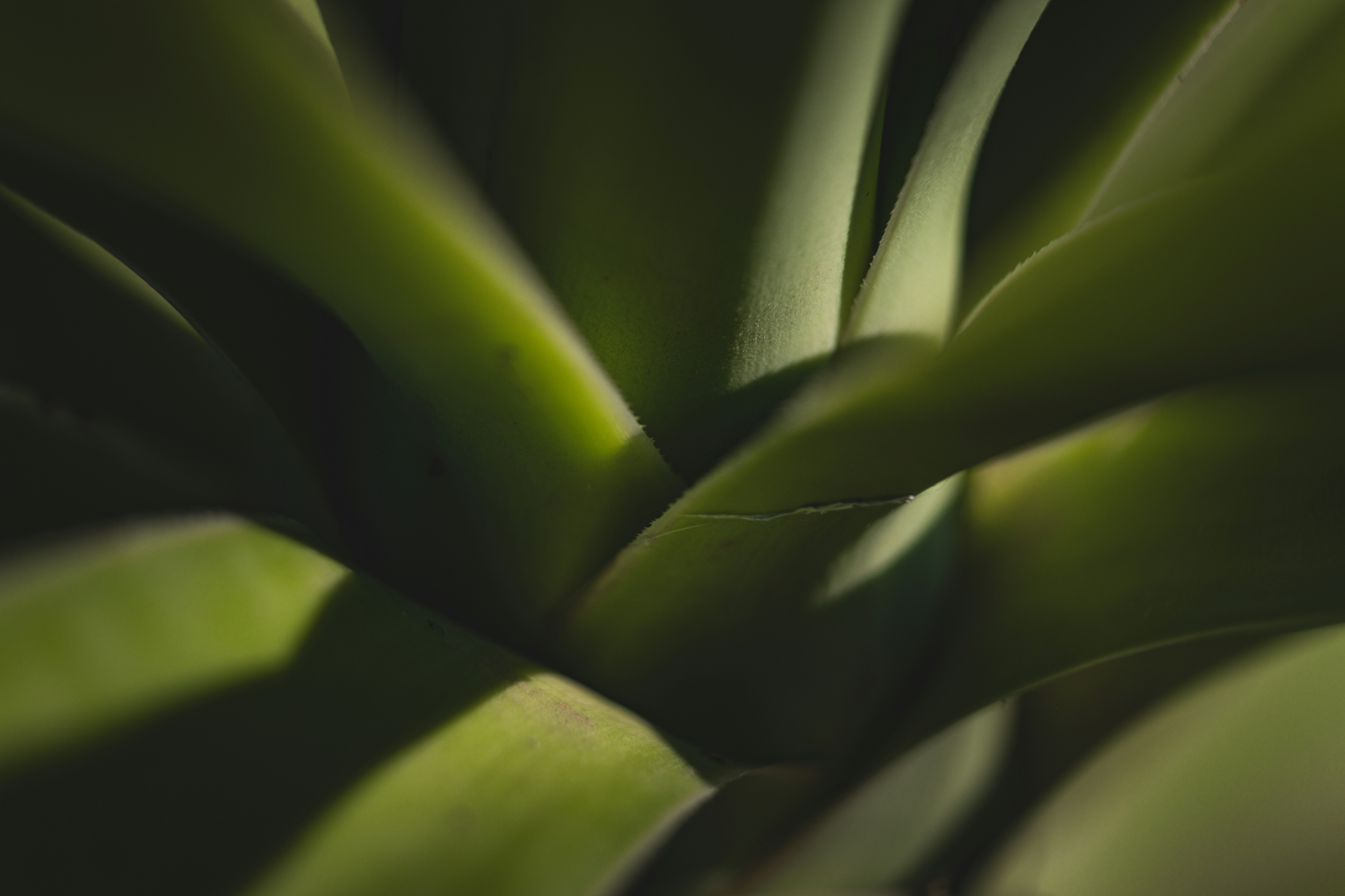 Photo by francesco_ungaro