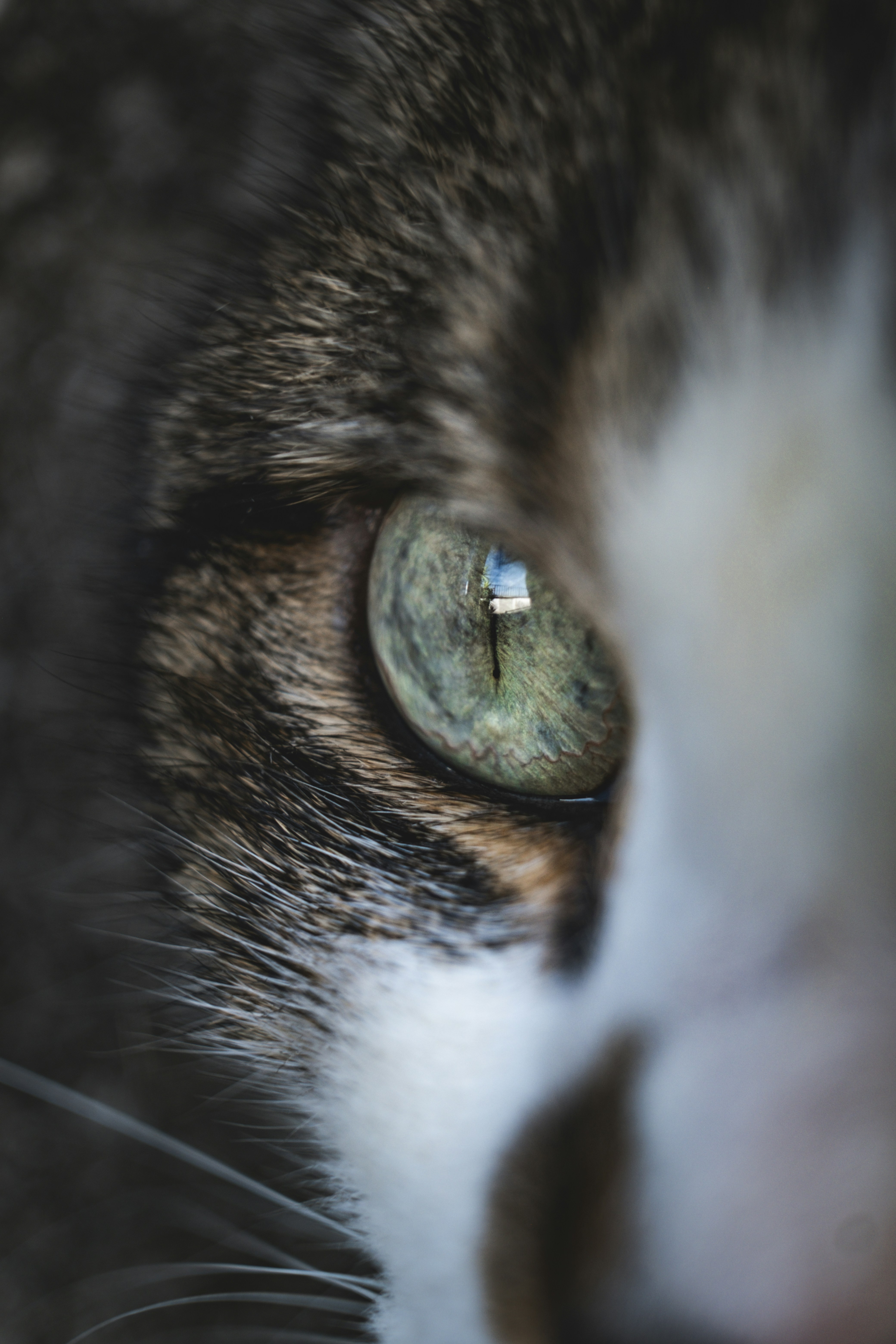 Photo by francesco_ungaro