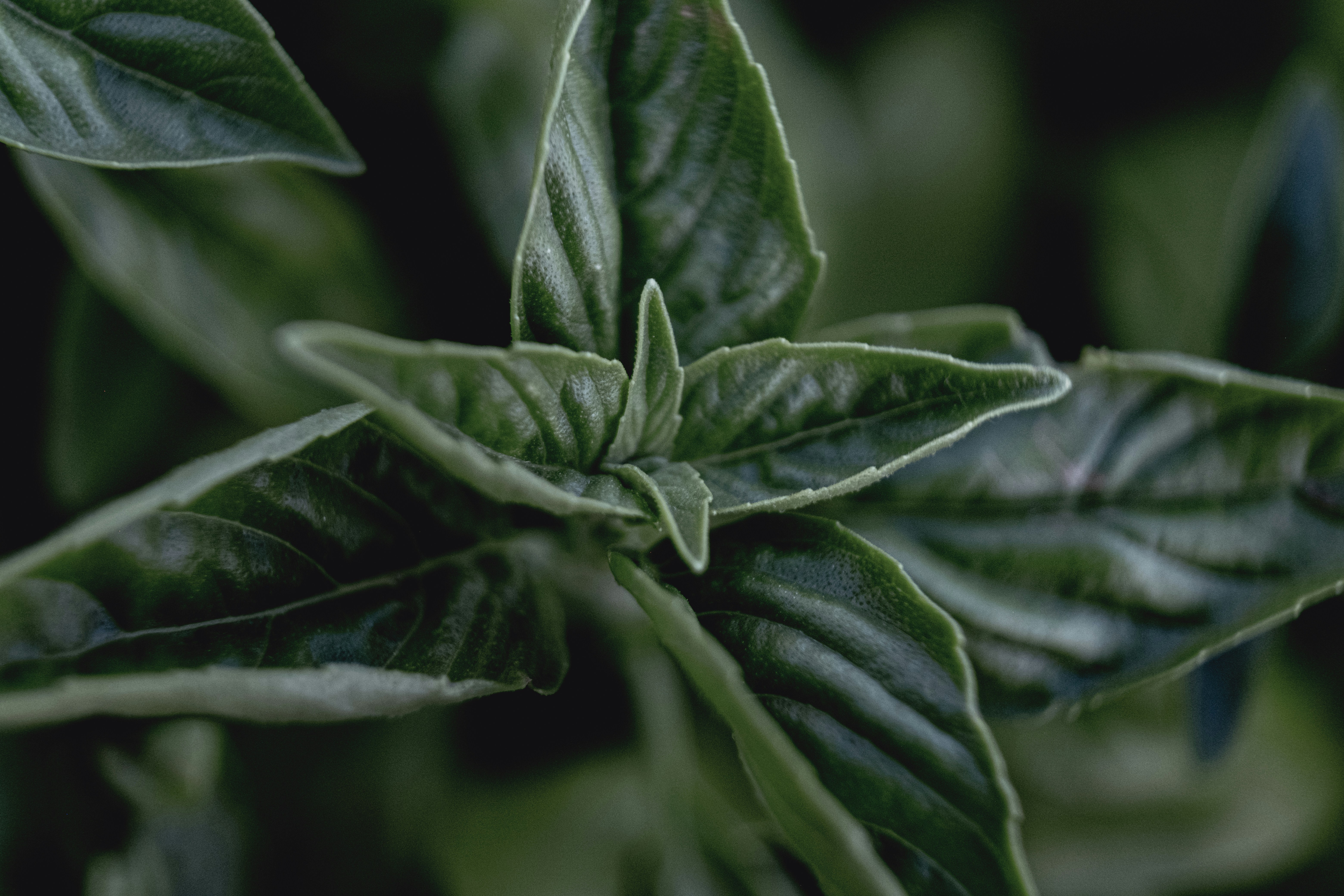 Photo by francesco_ungaro