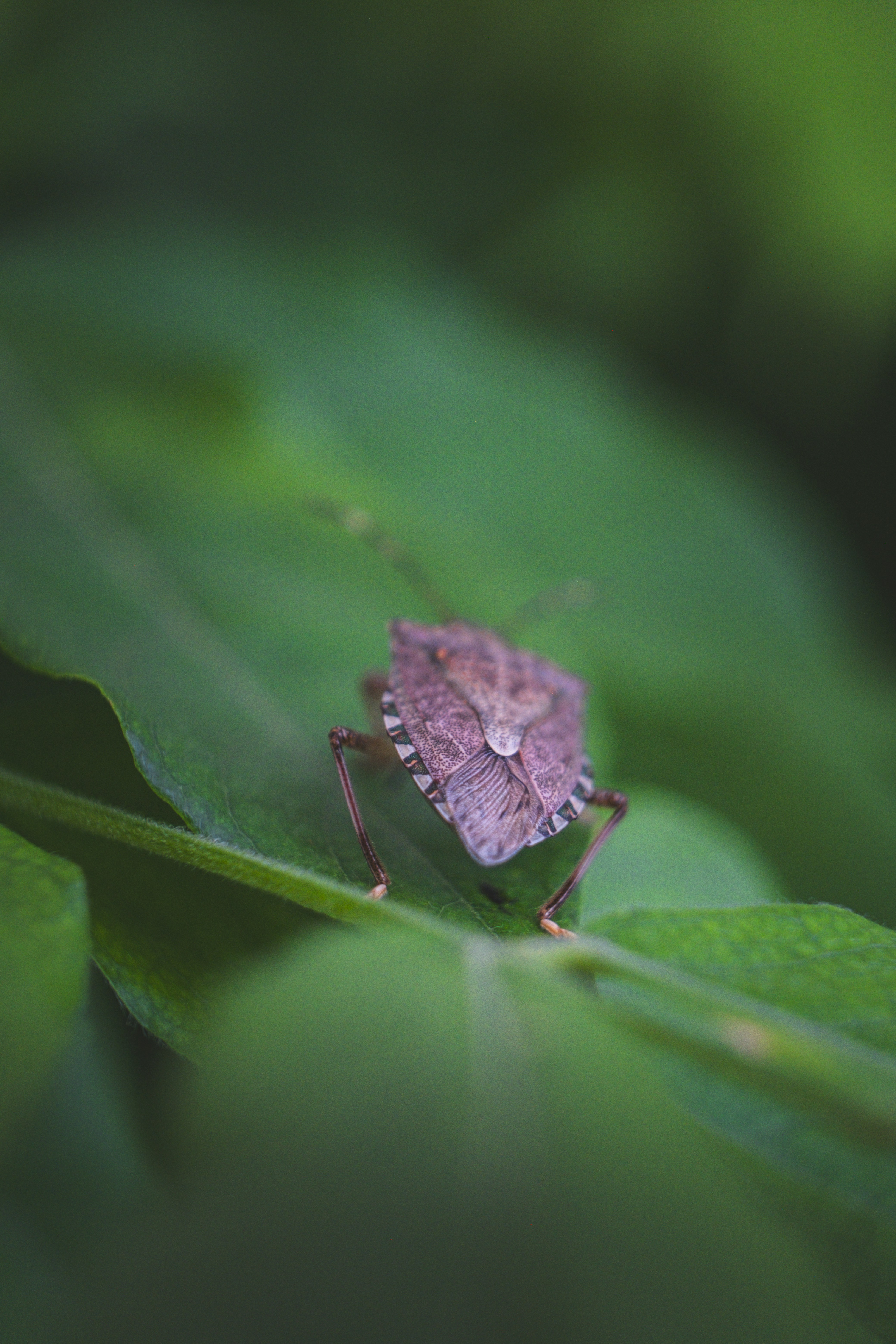 Photo by francesco_ungaro