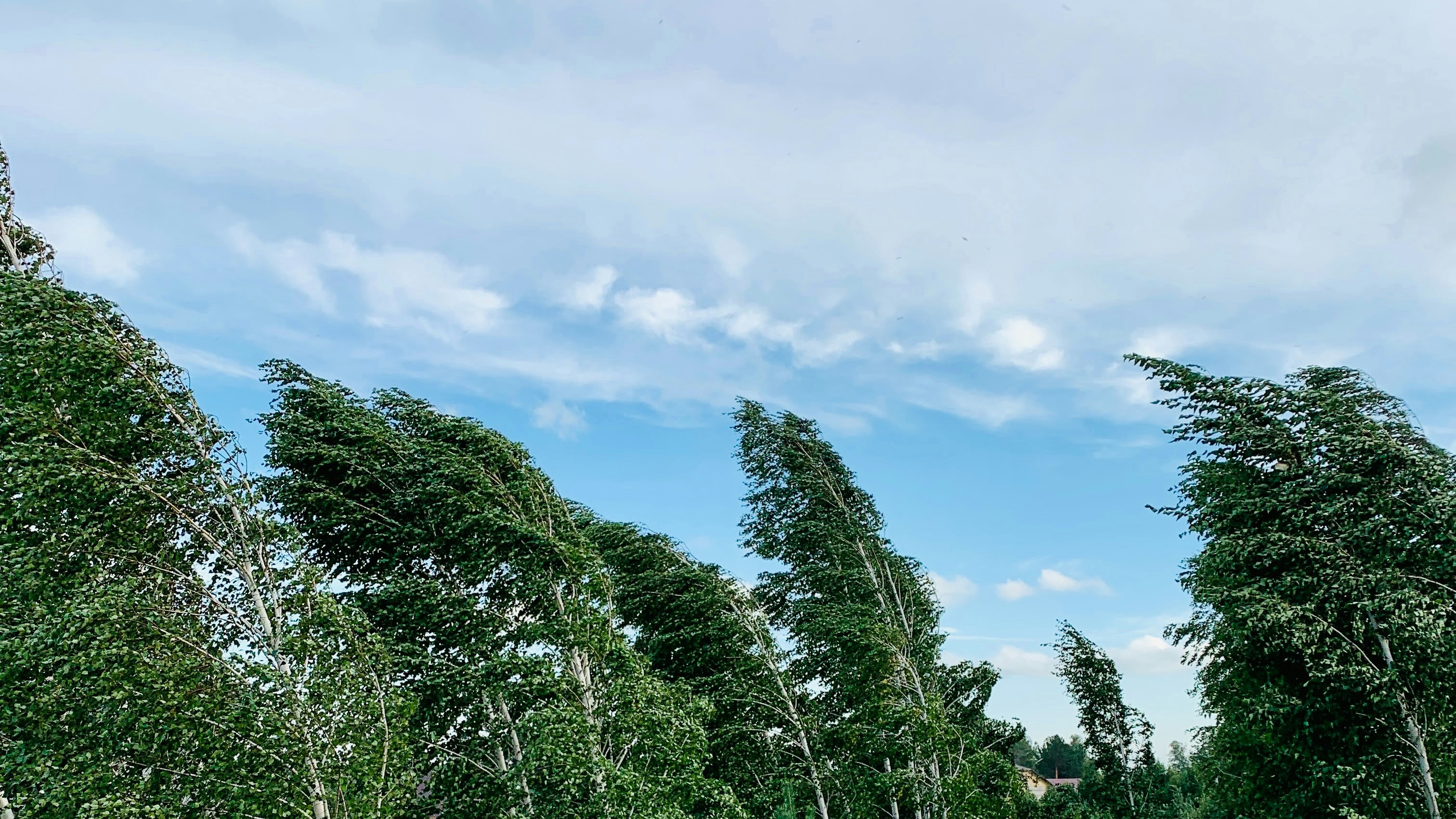 Photo by ionemchinov