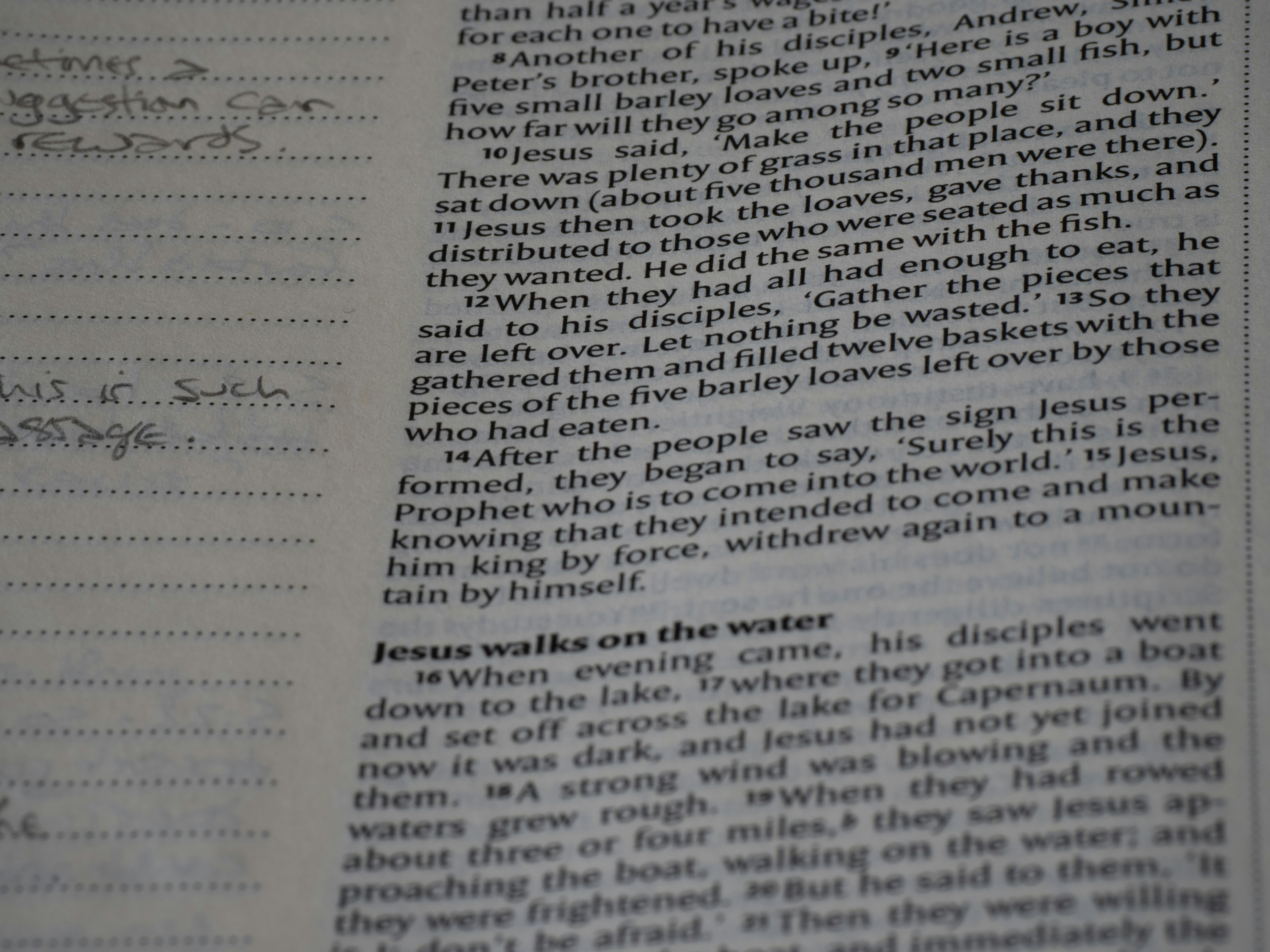 Photo by brett_jordan