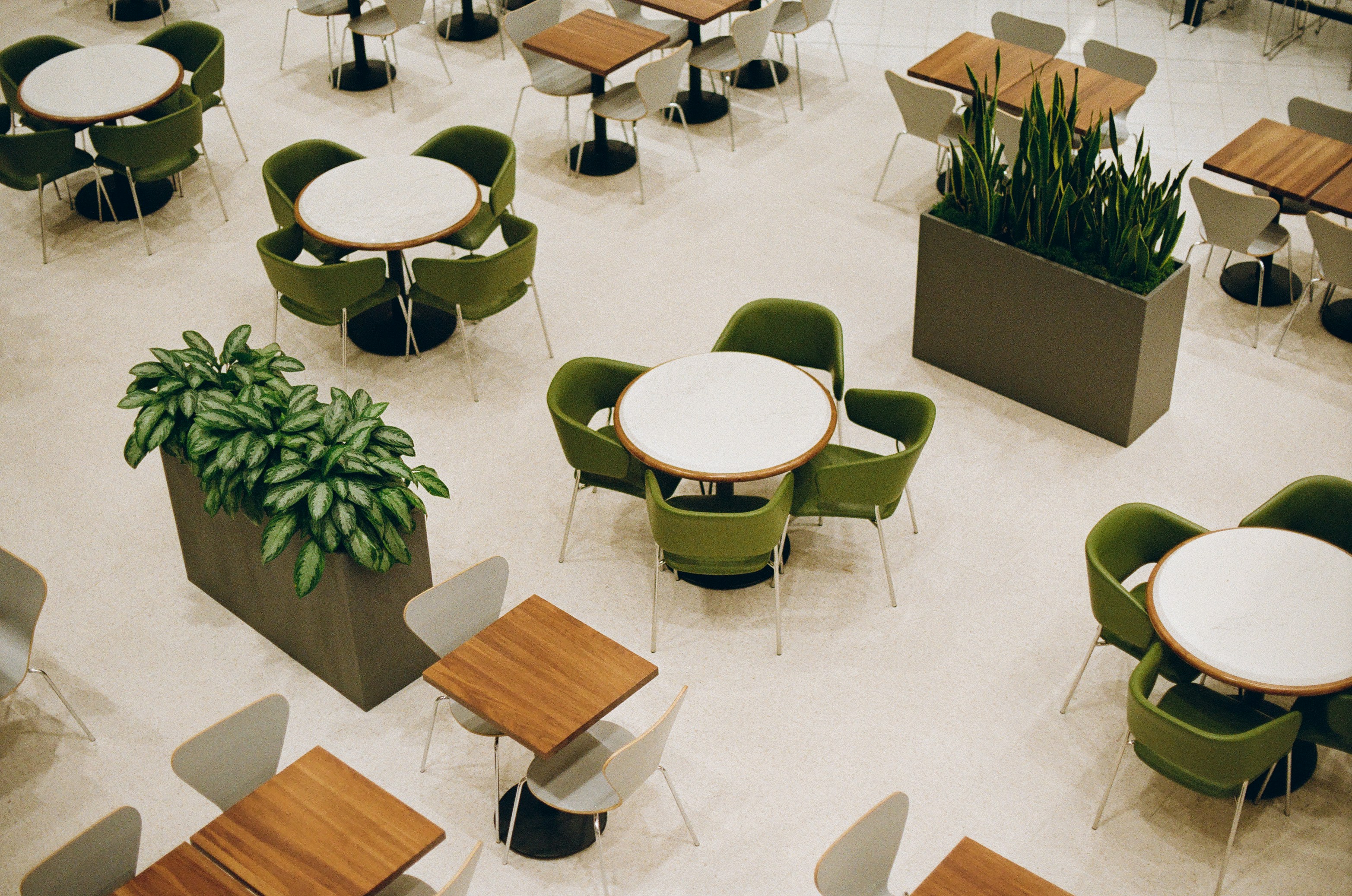 A cafeteria with tables, chairs, and plants