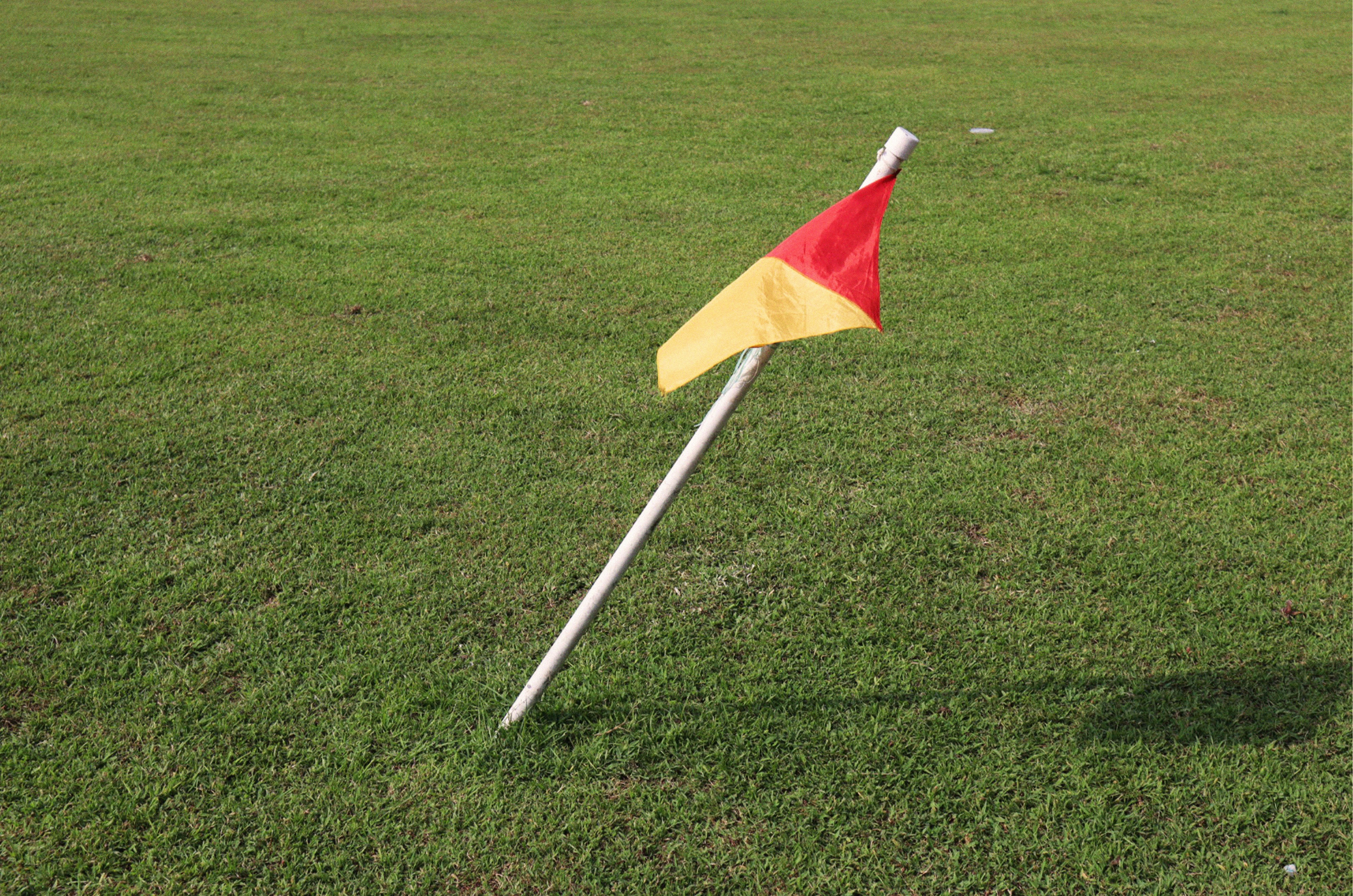 utility marking flags in a yard - dig a trench in backyard