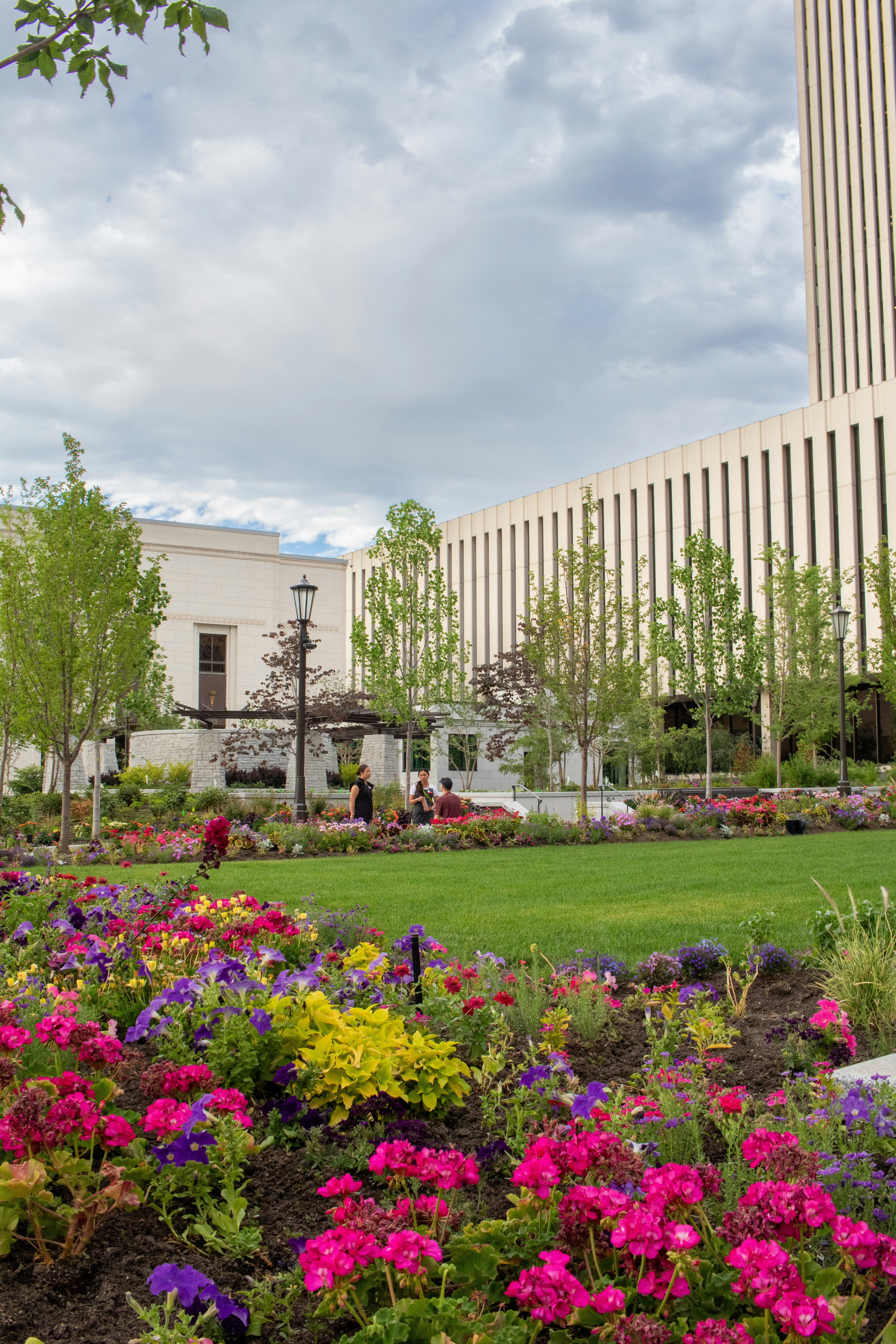 Photo by zoshuacolah