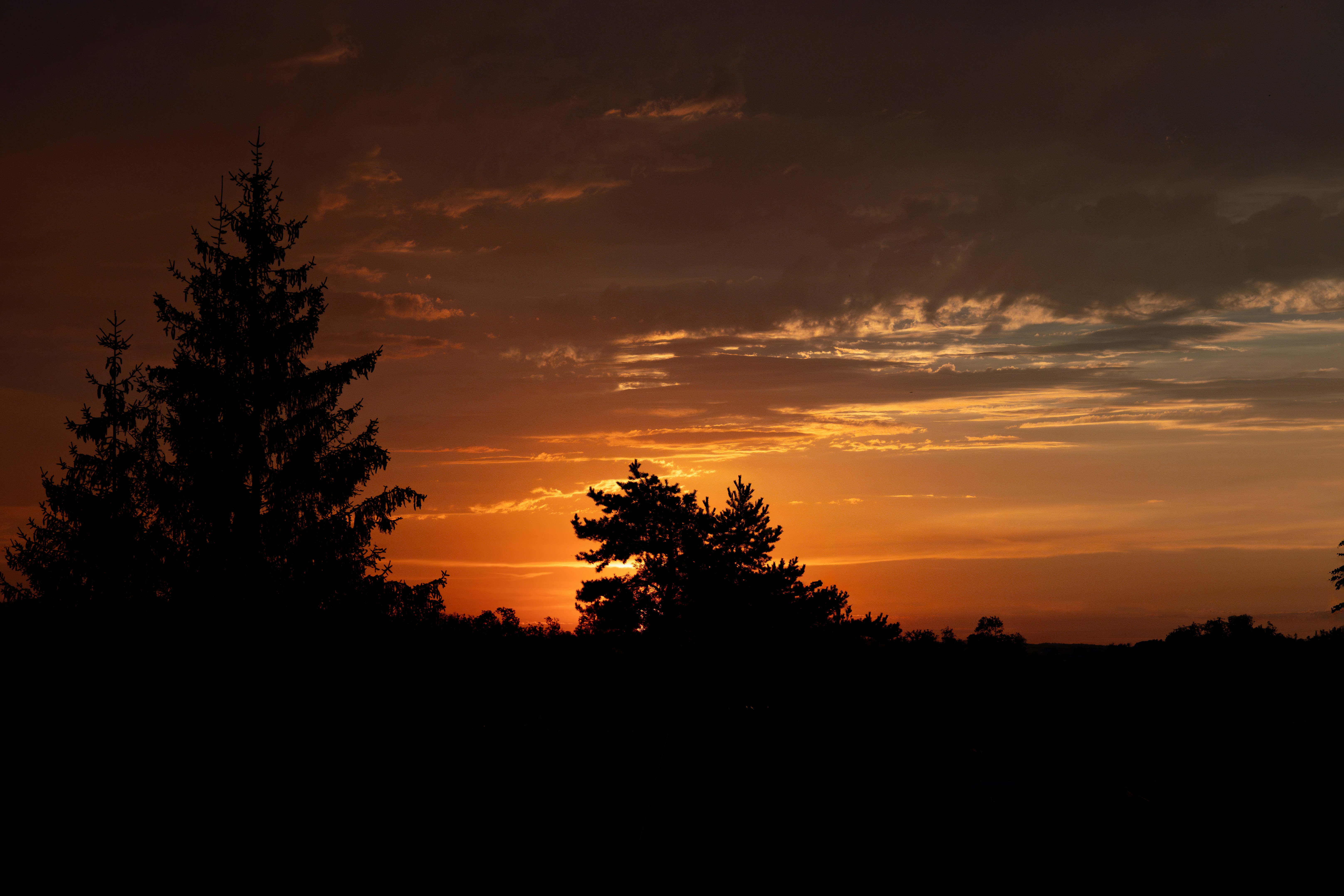 Photo by lorenzspalt