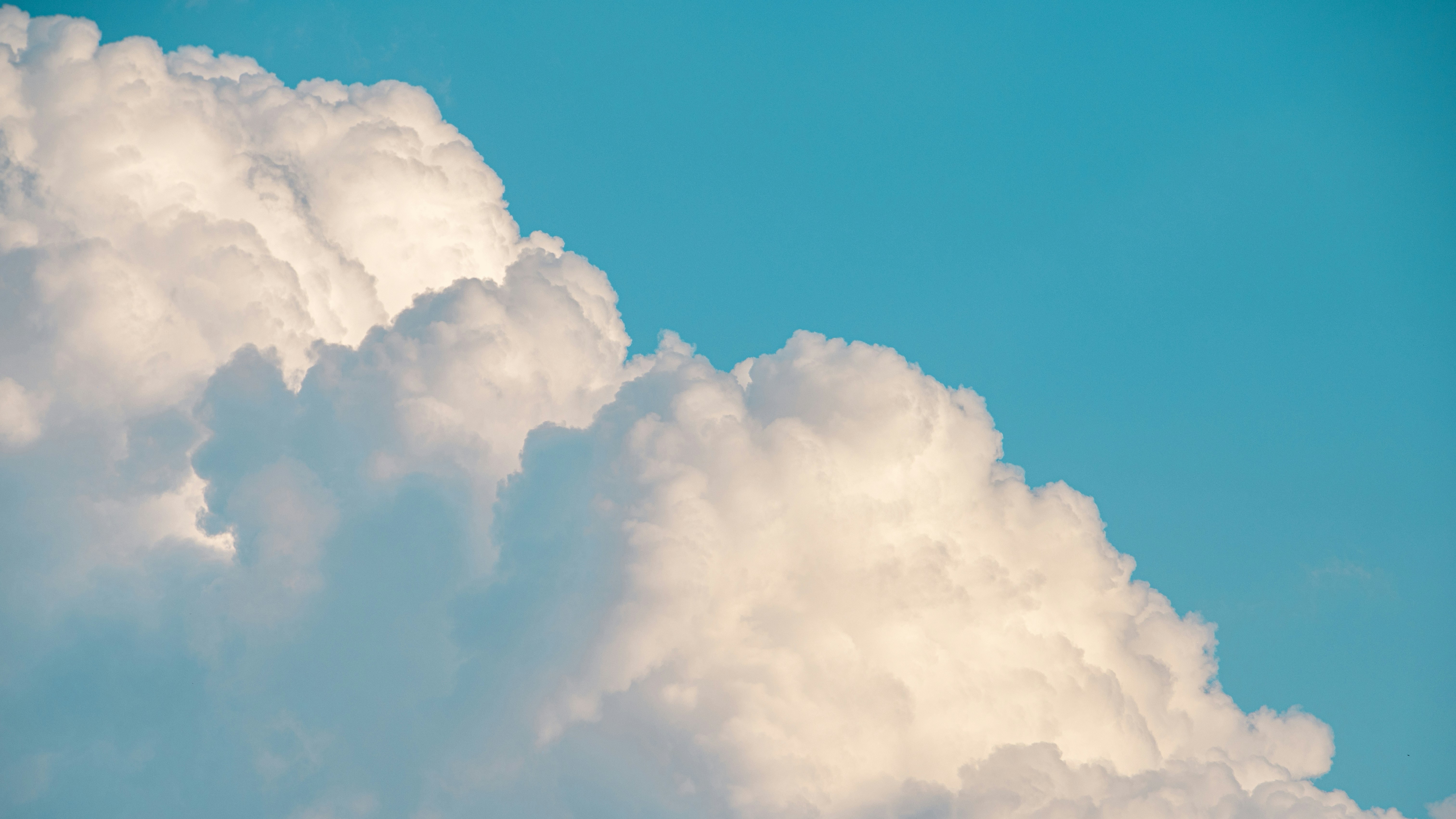 Photo by peek_a_boo_who