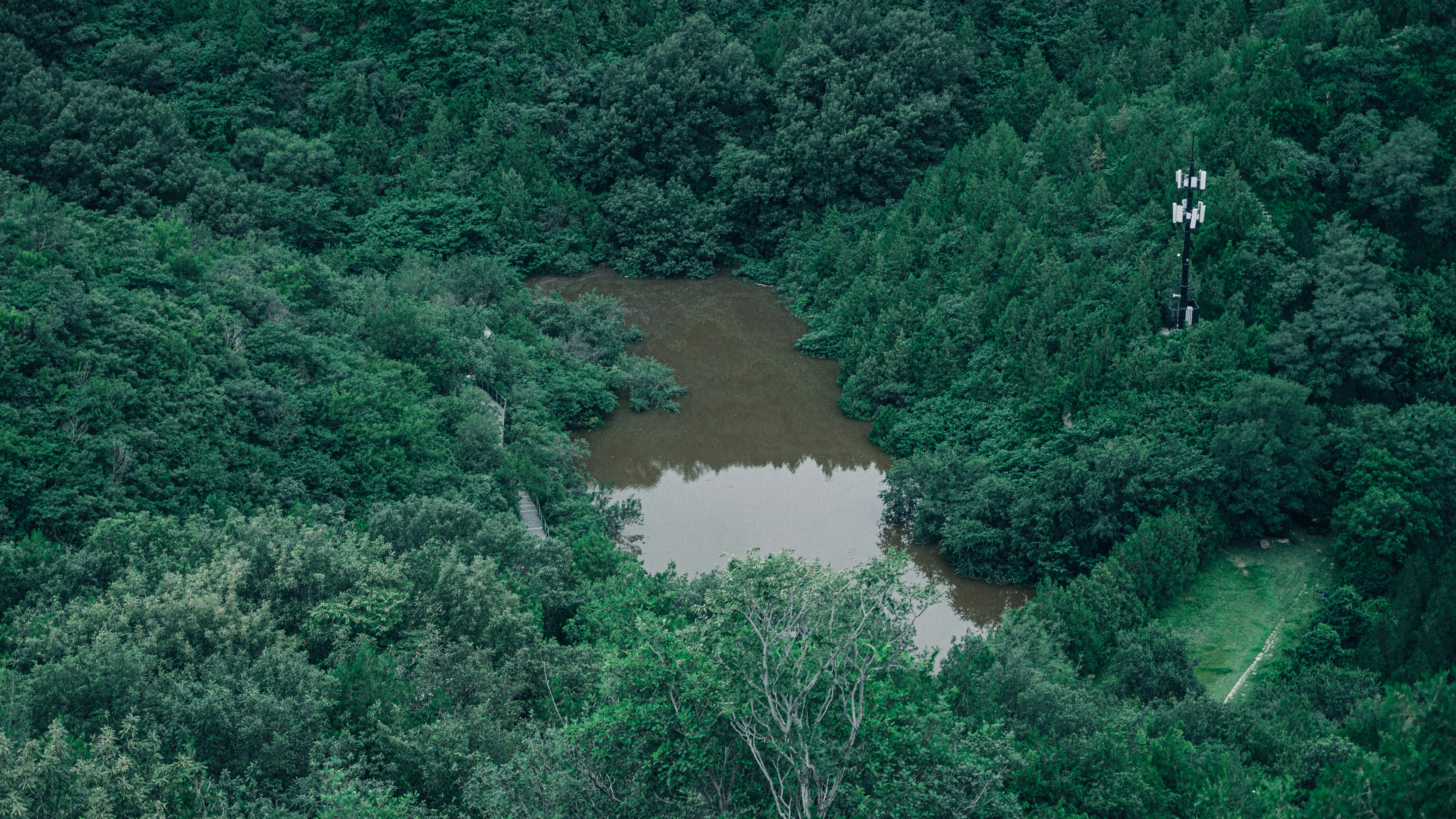 Photo by peek_a_boo_who