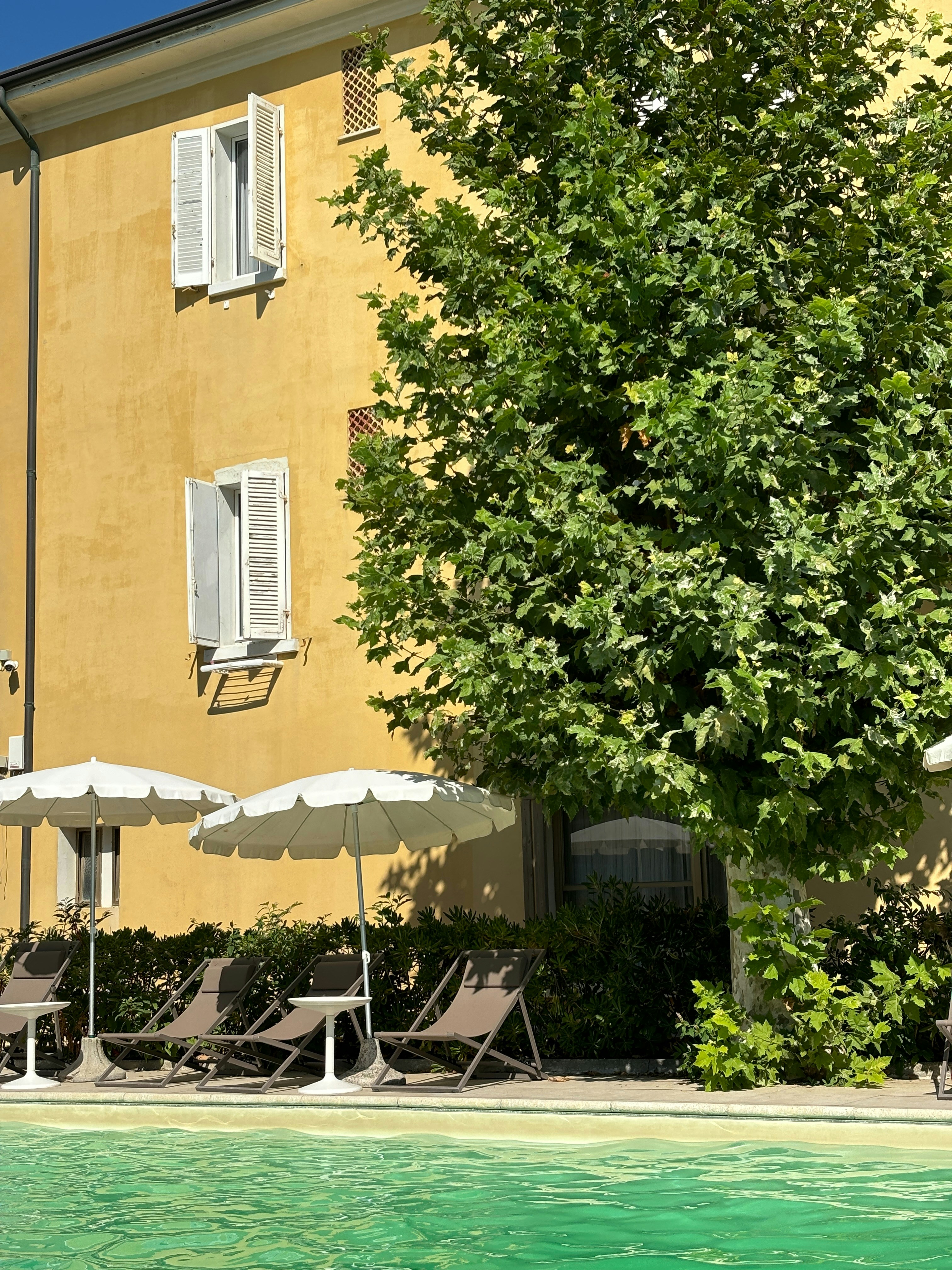 Photo by szymon12455