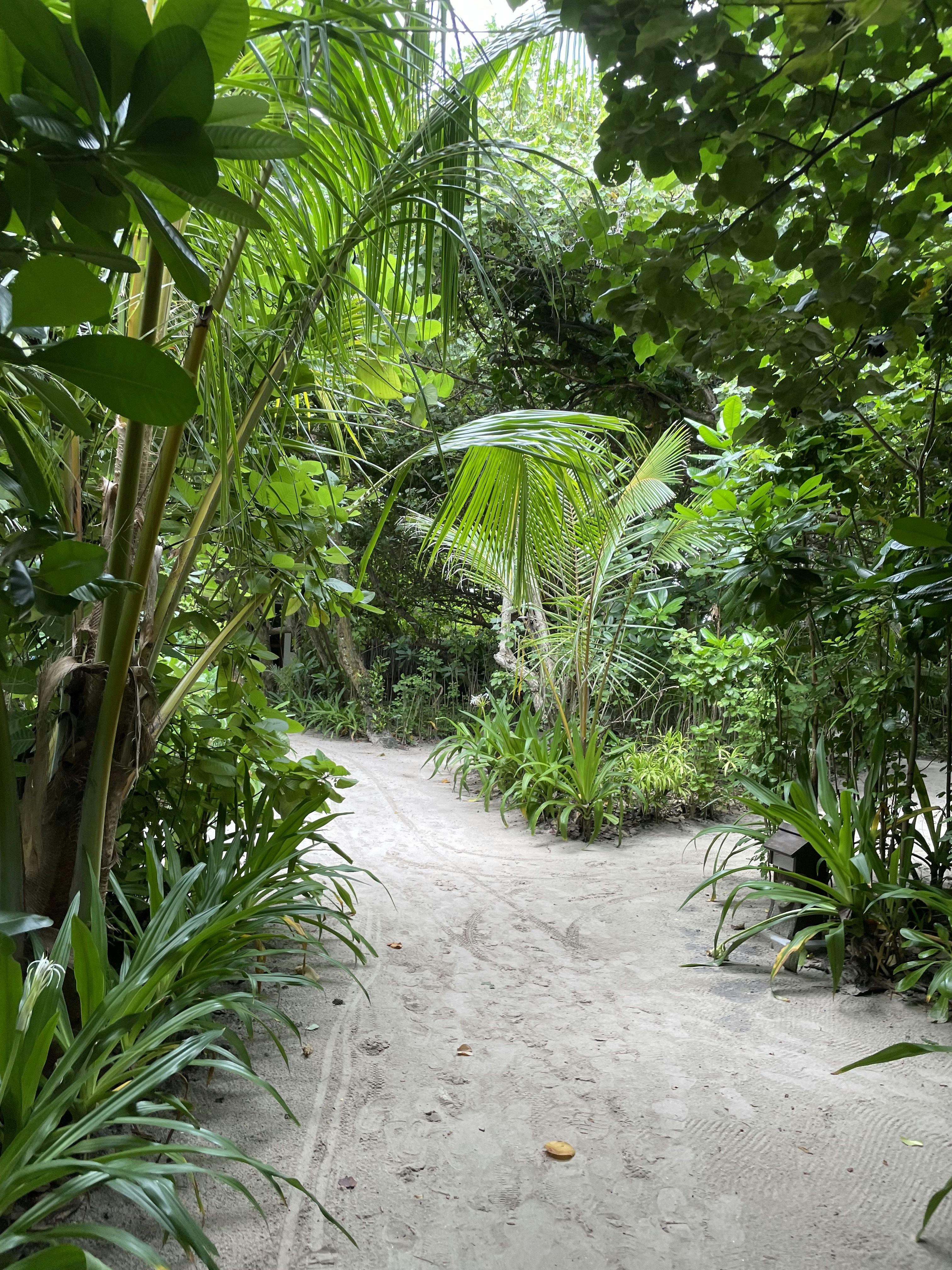 Photo by james_buxton