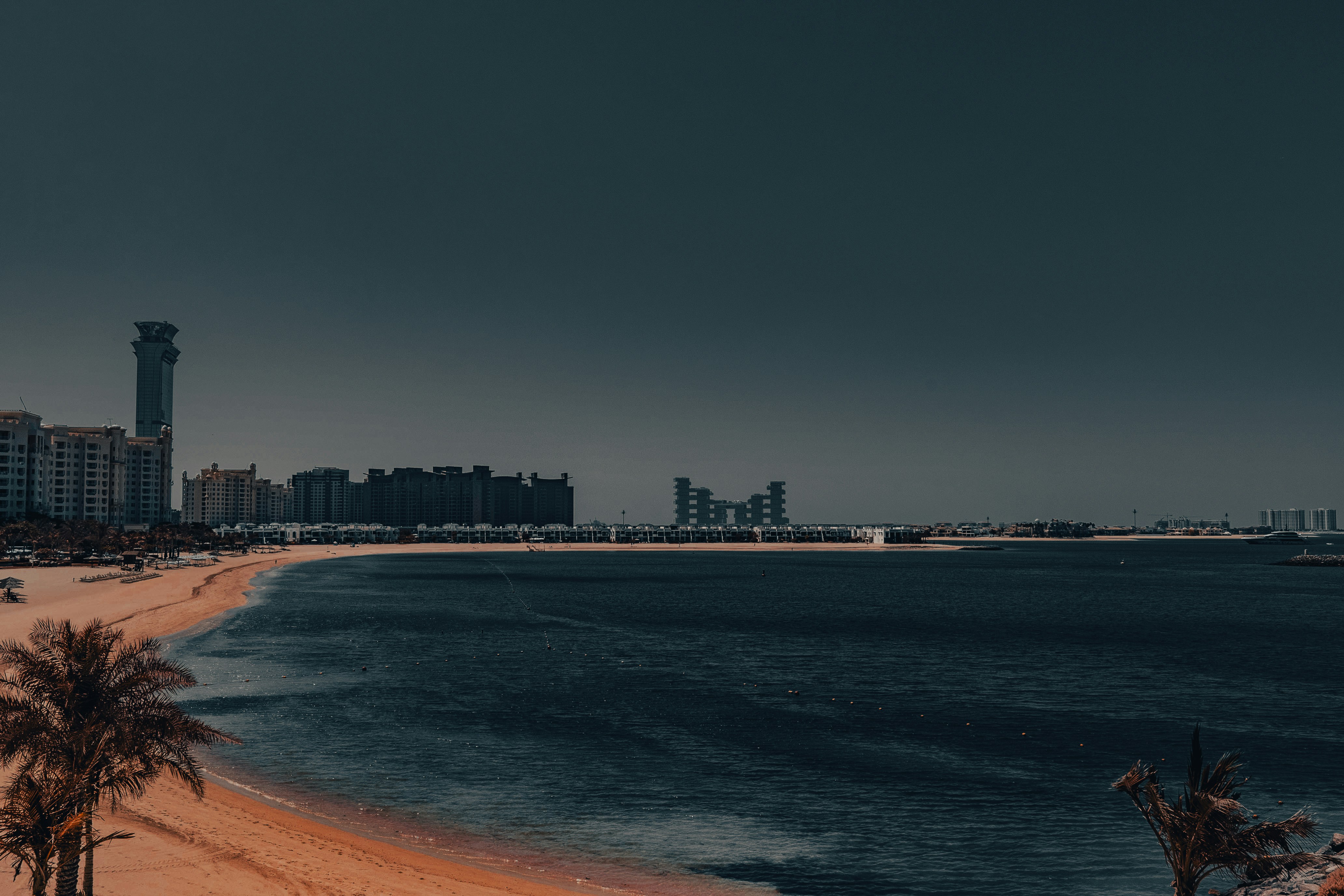 Uma praia com palmeiras e edifícios ao fundo