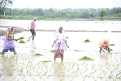 A group of people standing on top of a flooded field