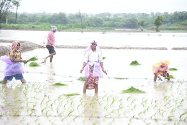 A group of people standing on top of a flooded field