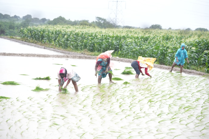 A group of people standing on top of a lush green field