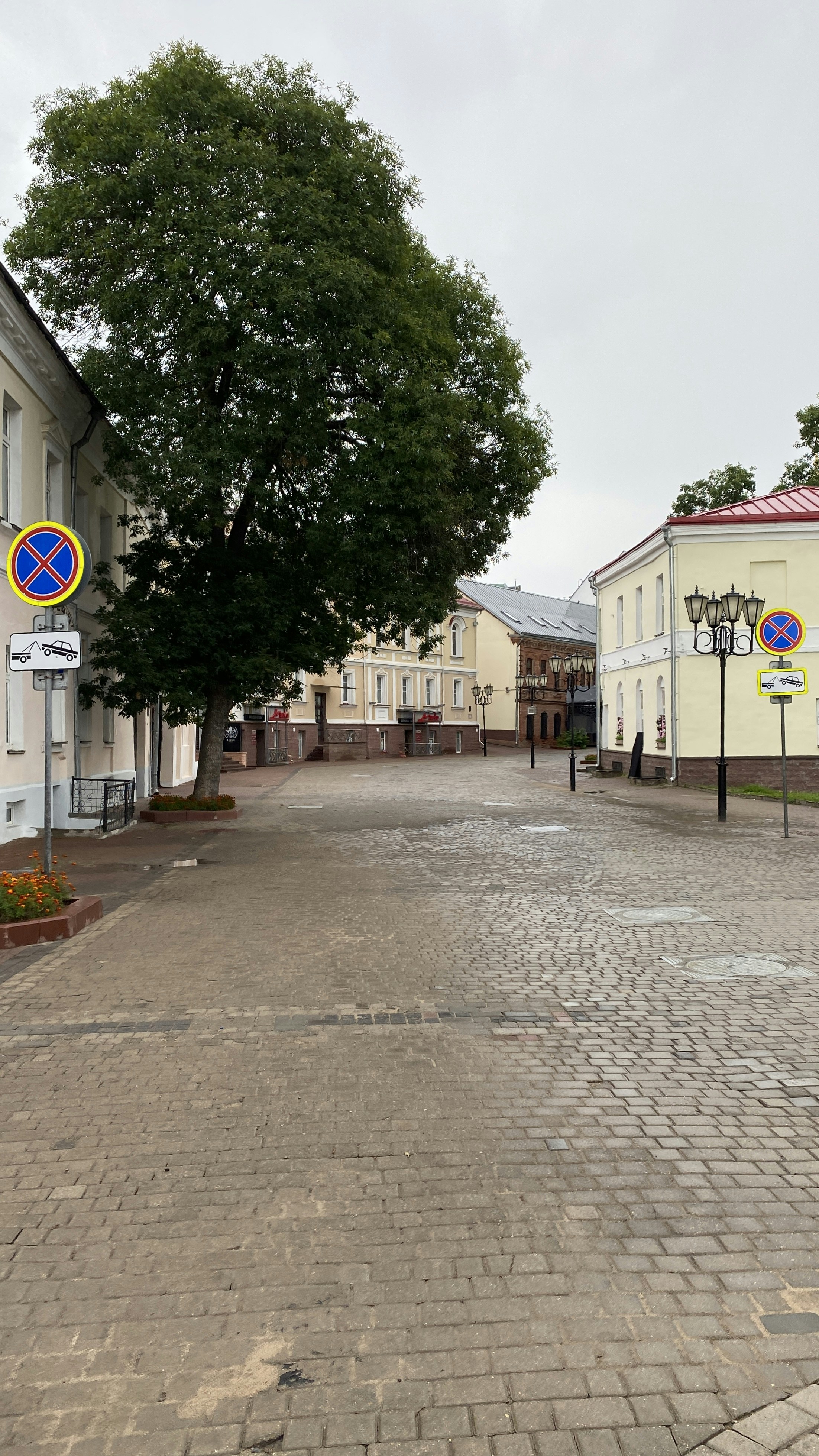 Vitebsk – Geography & Spatial Structure