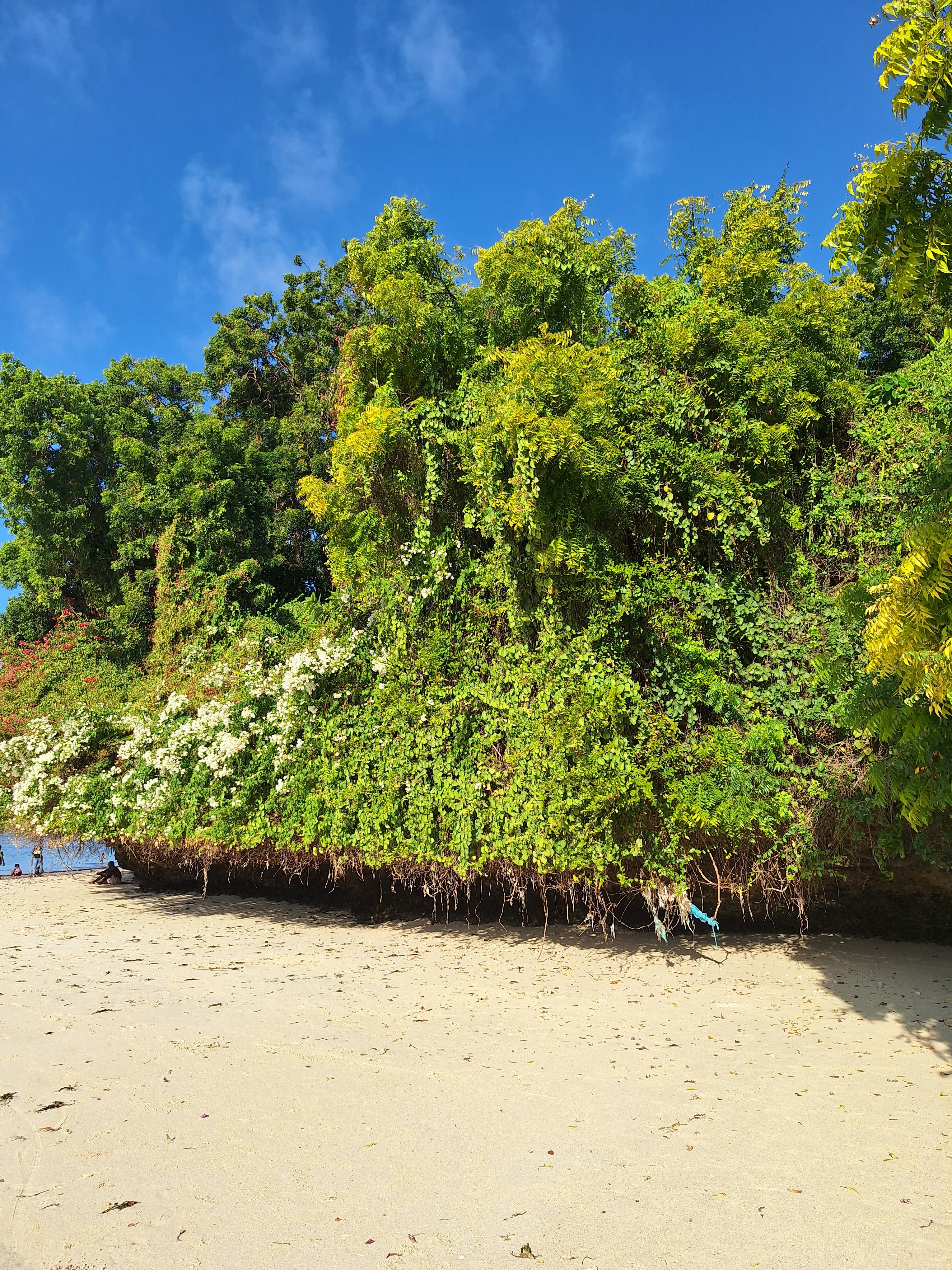 Malindi travel photo