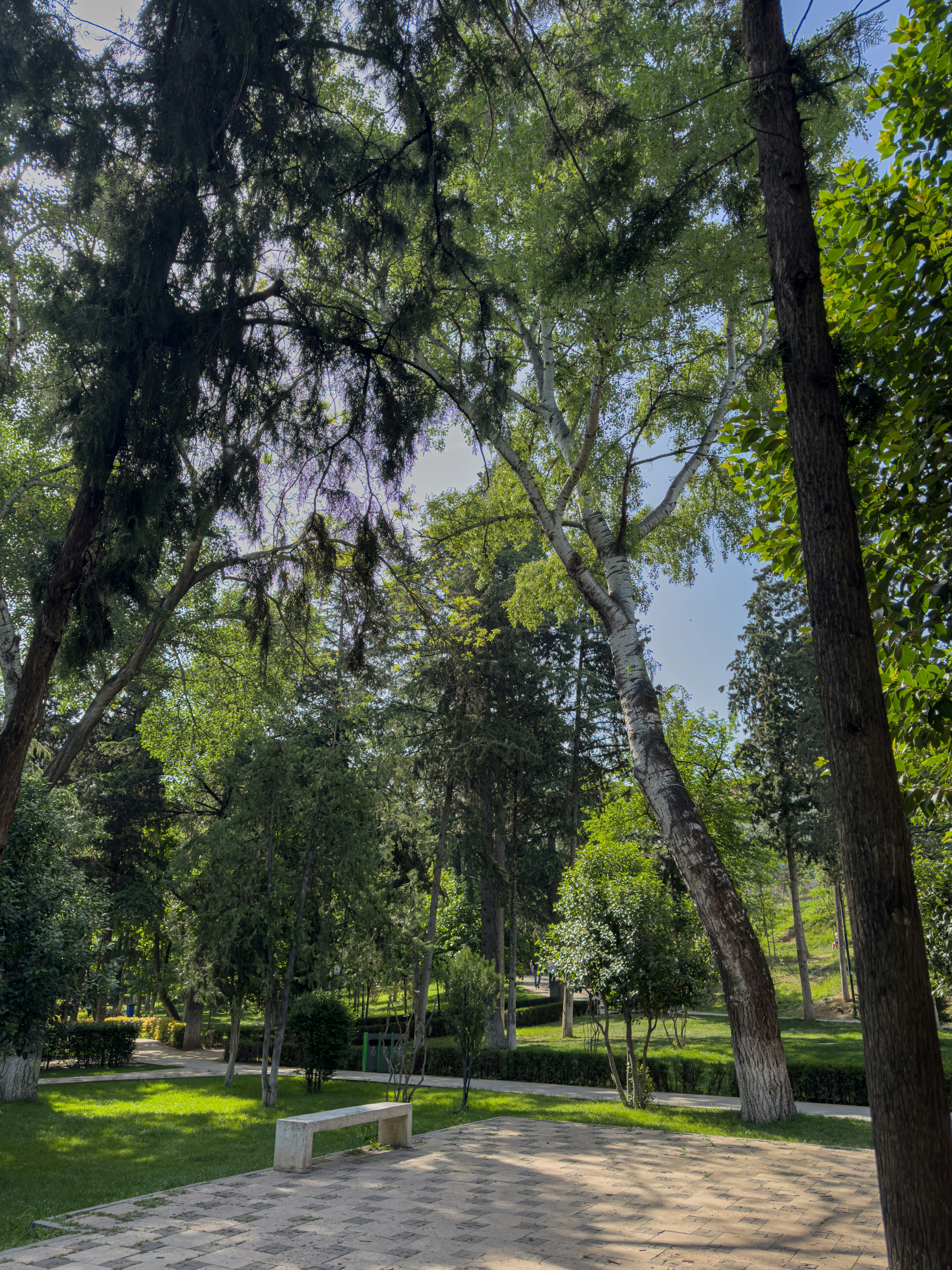 Photo by amaphotography