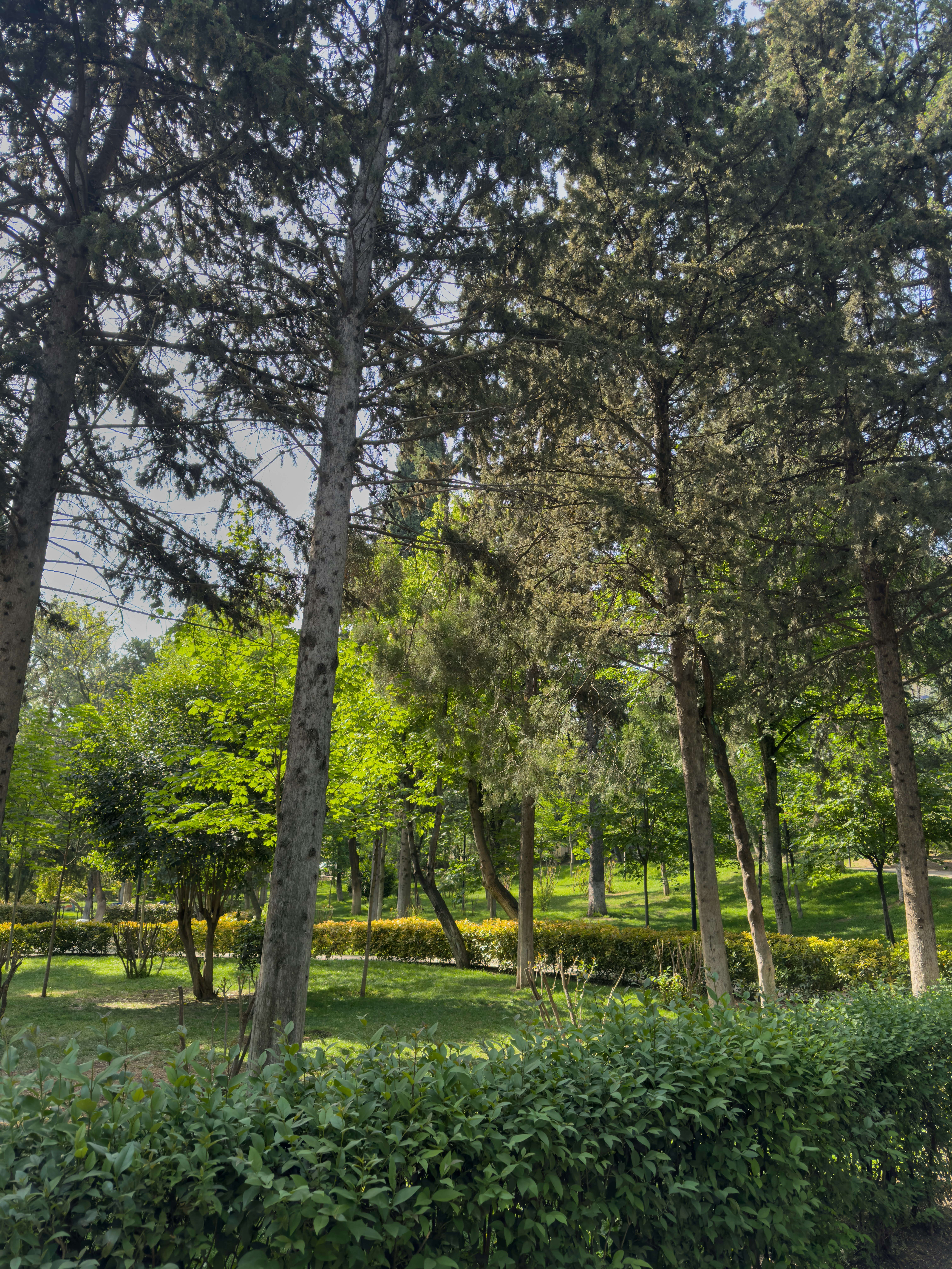 Photo by amaphotography