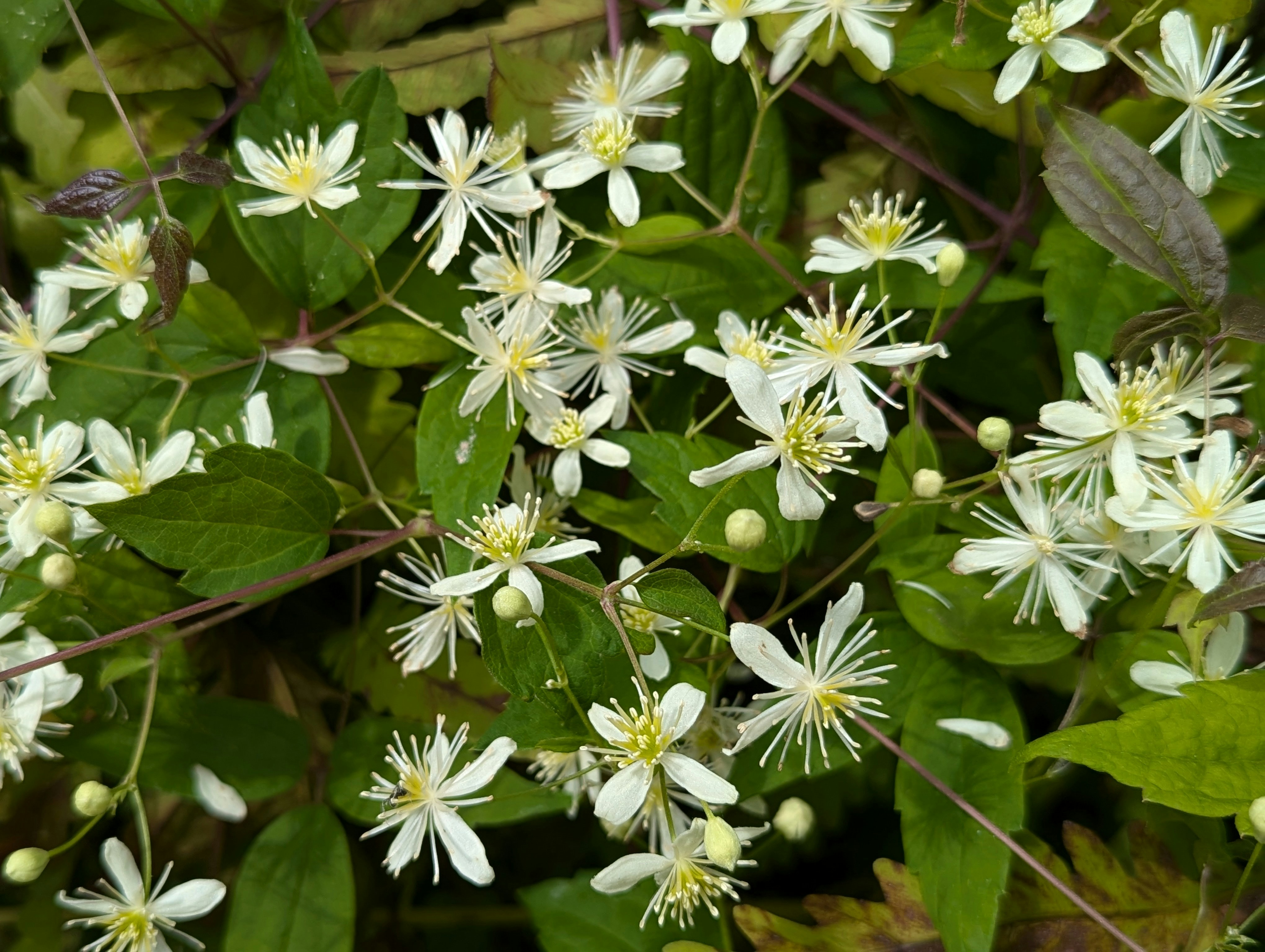 Tapping into Wellness 's image