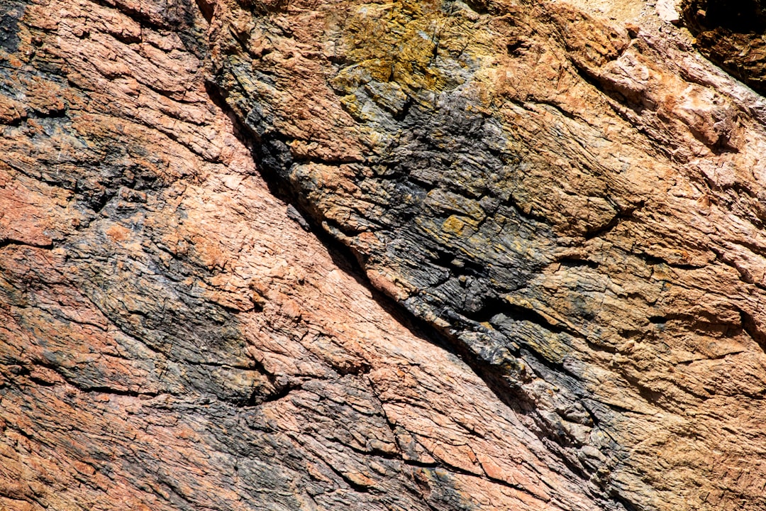 A bird is perched on a rock face,