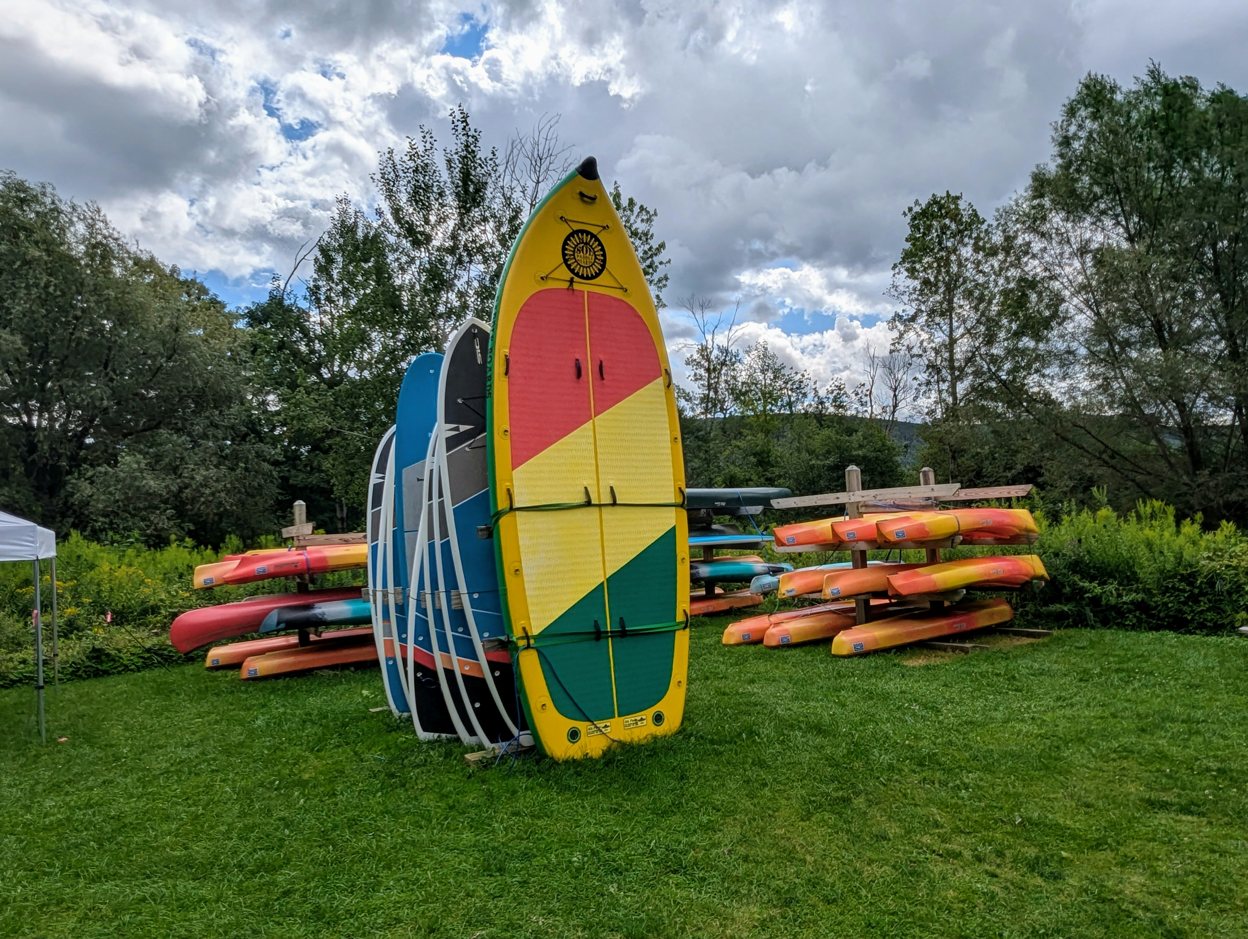 A surfboard sitting on top of a lush green field