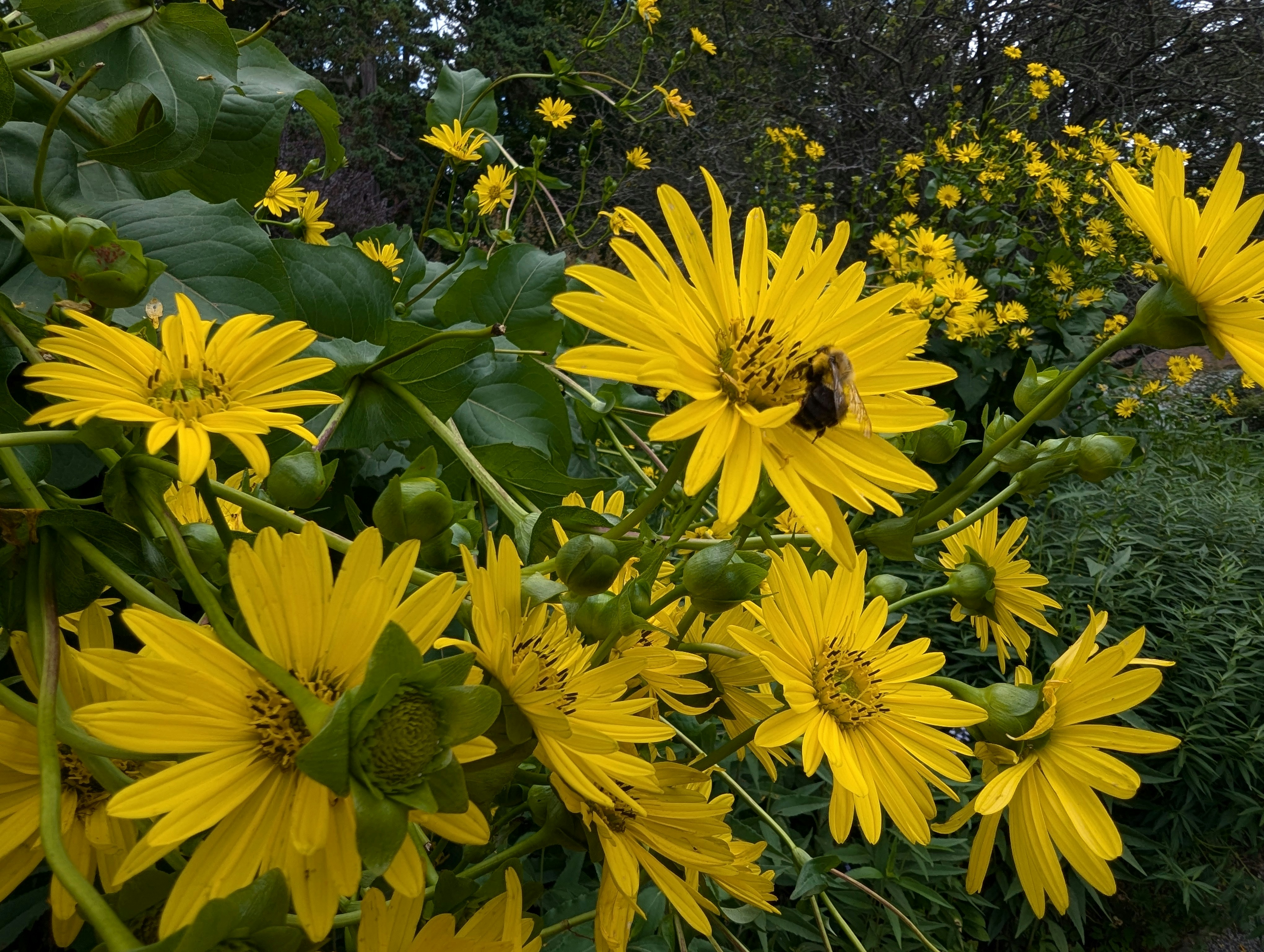 Photo by tamrootbeer