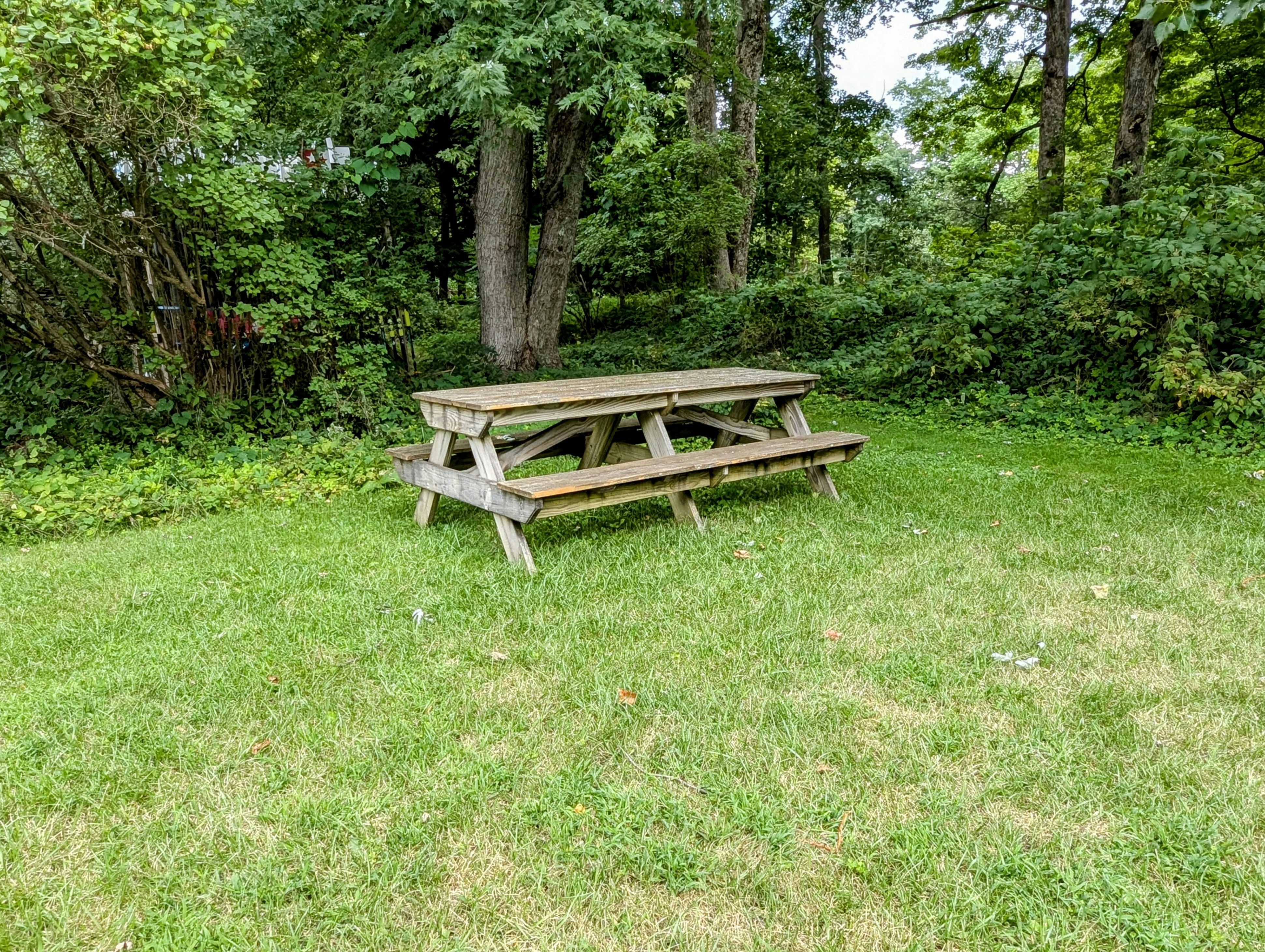 Photo by tamrootbeer