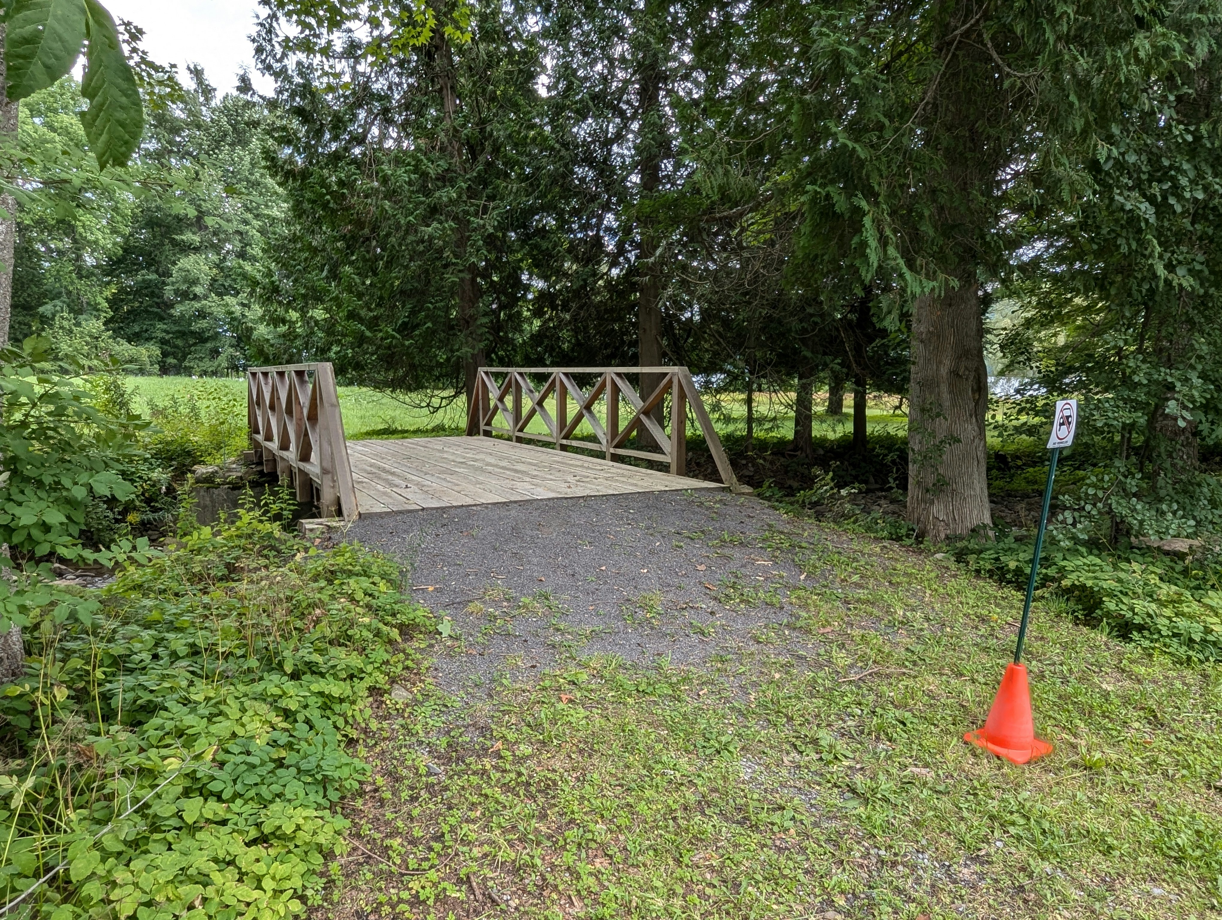 Un pequeño puente de madera sobre un pequeño arroyo