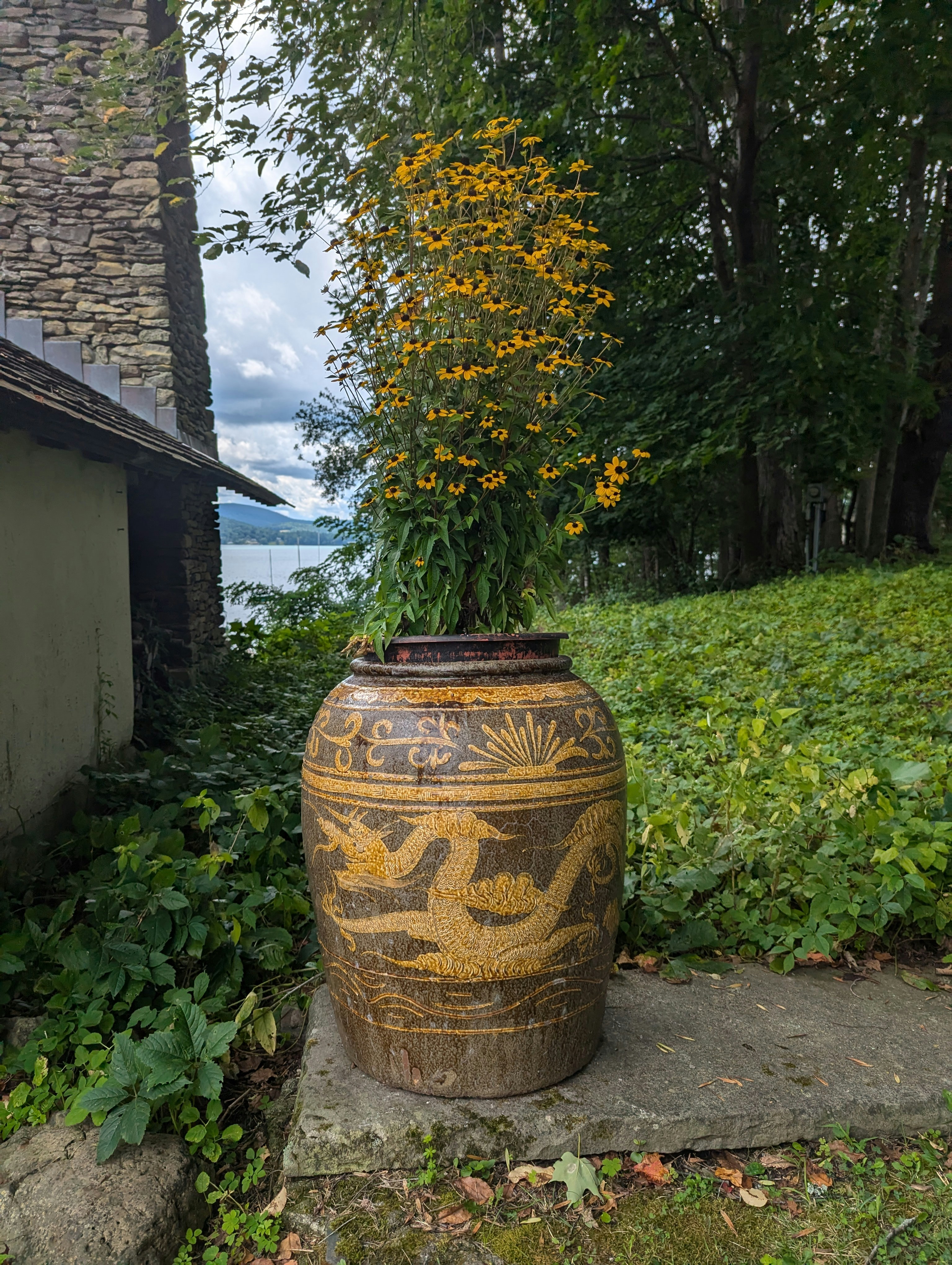 Eine Vase, aus der eine Pflanze wächst