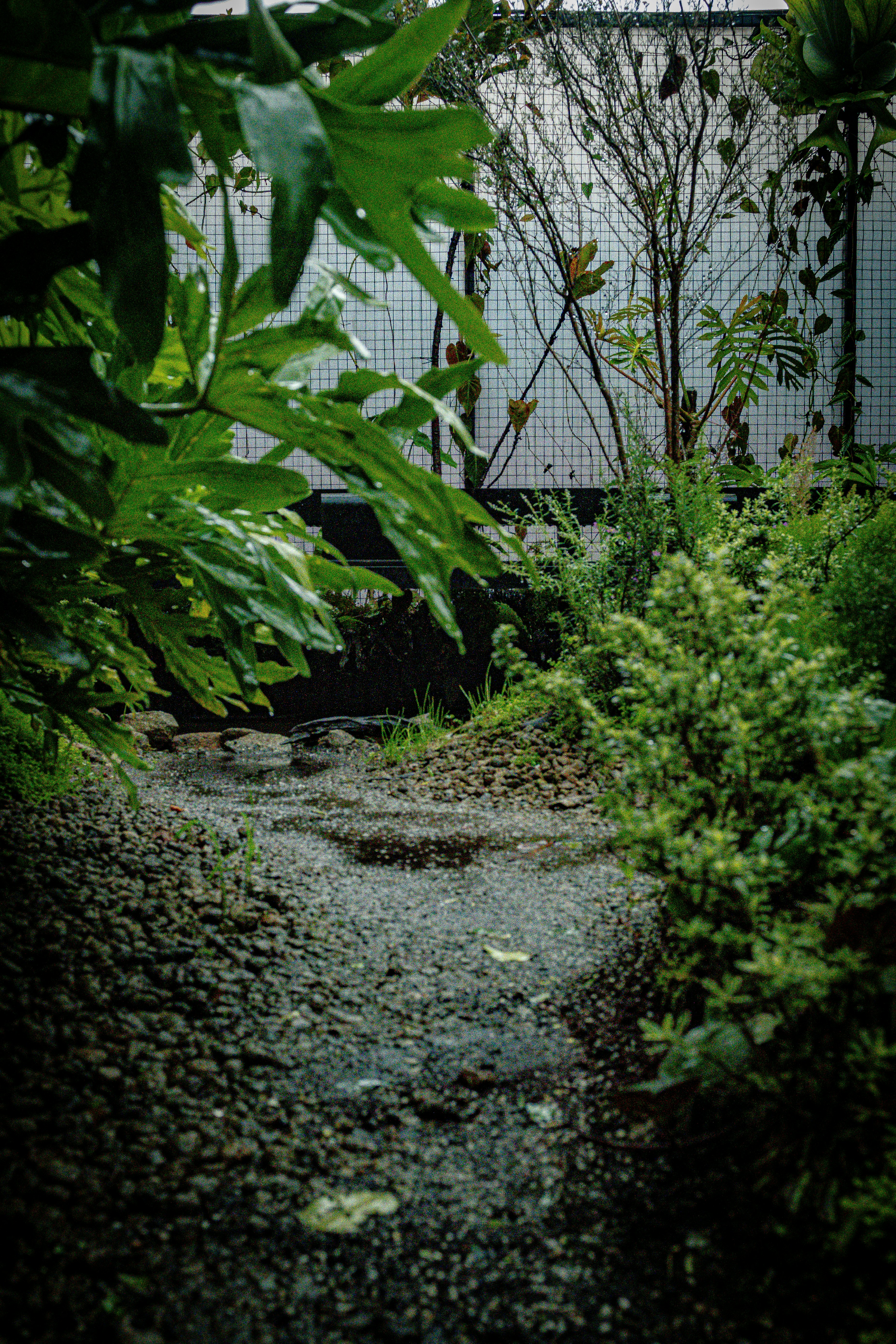 Photo by jordannguyen