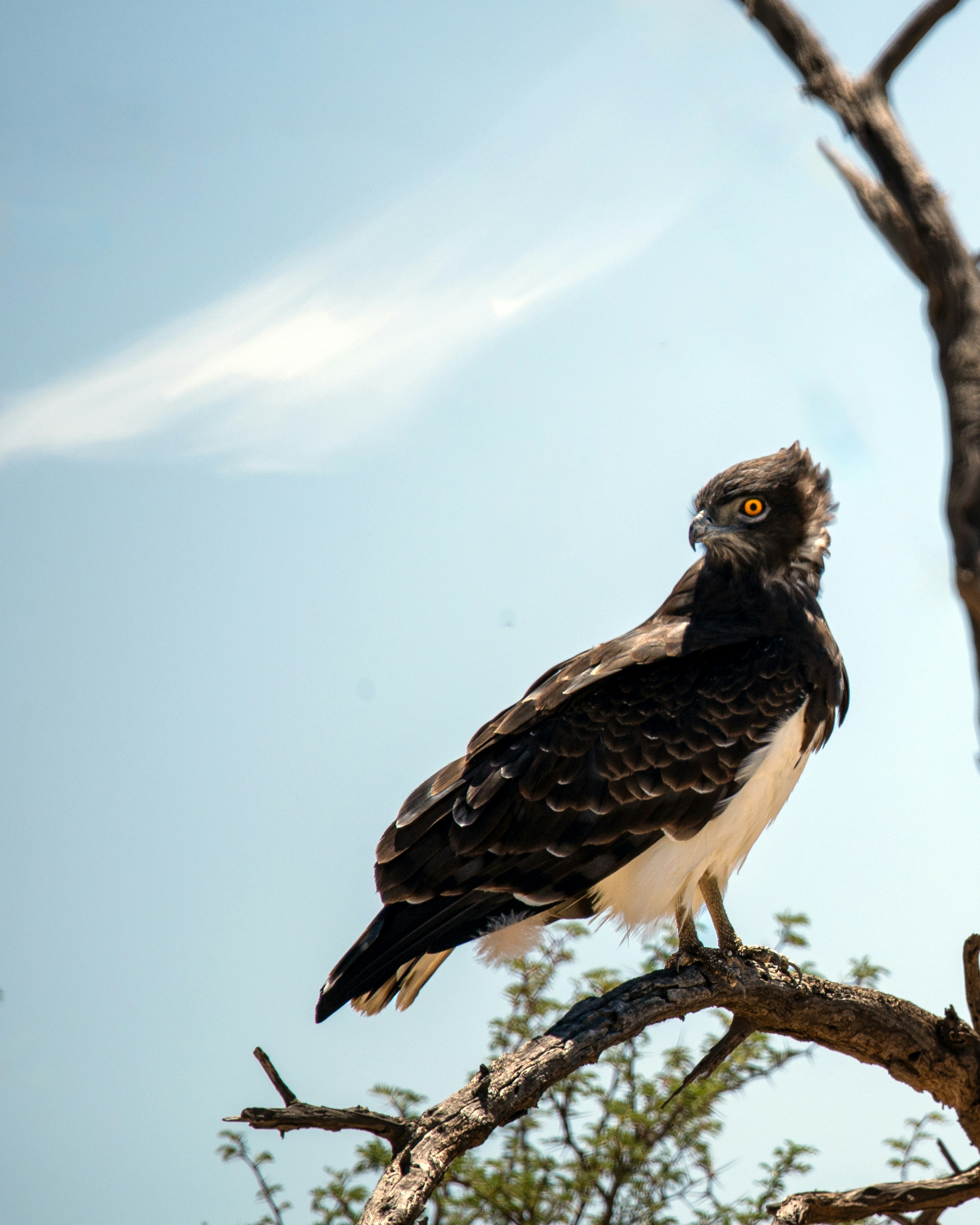 Photo by whoopsadaisies