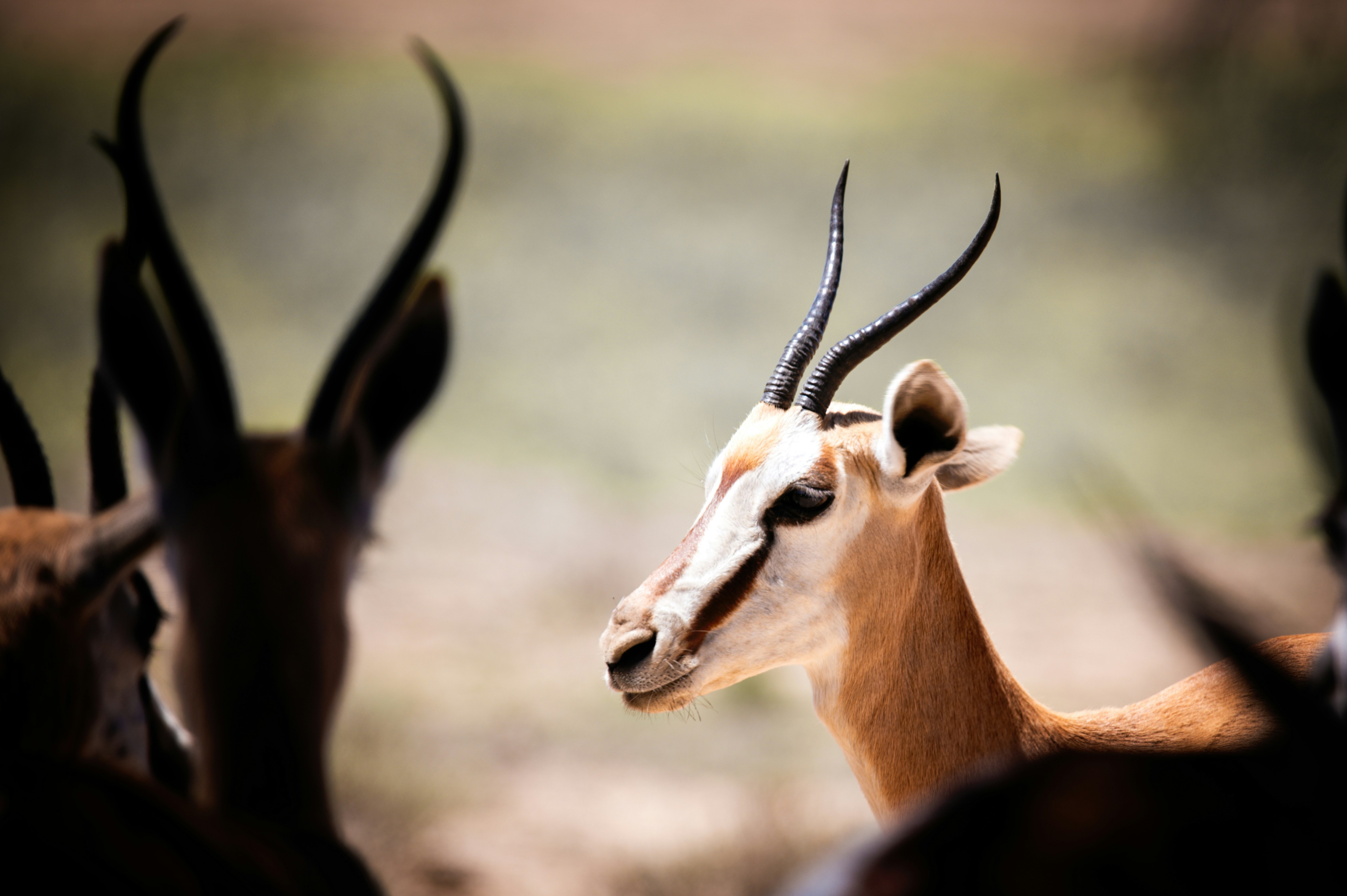 Photo by whoopsadaisies