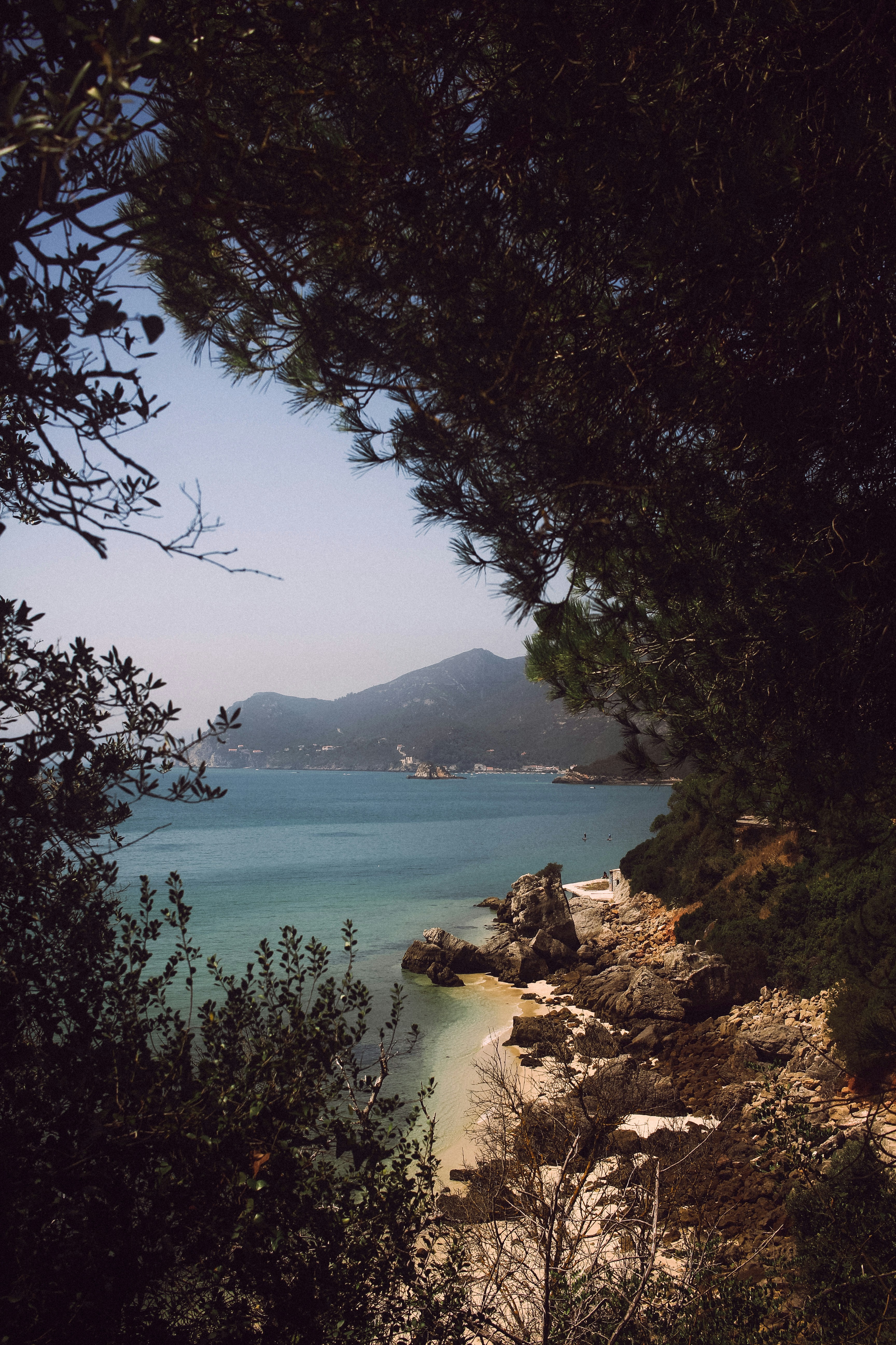 Photo by omarcelorangel