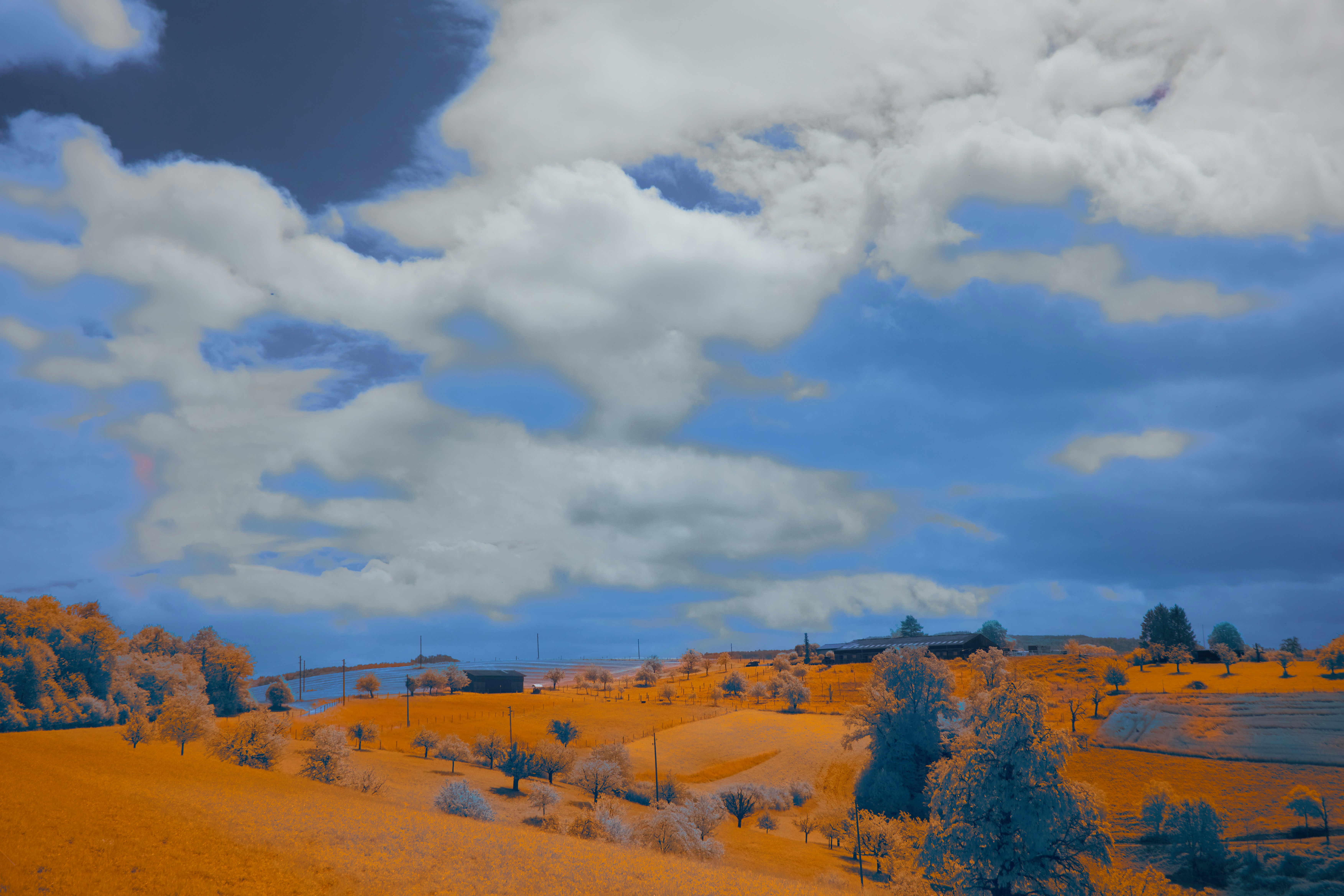 Photo by wolfgang_hasselmann