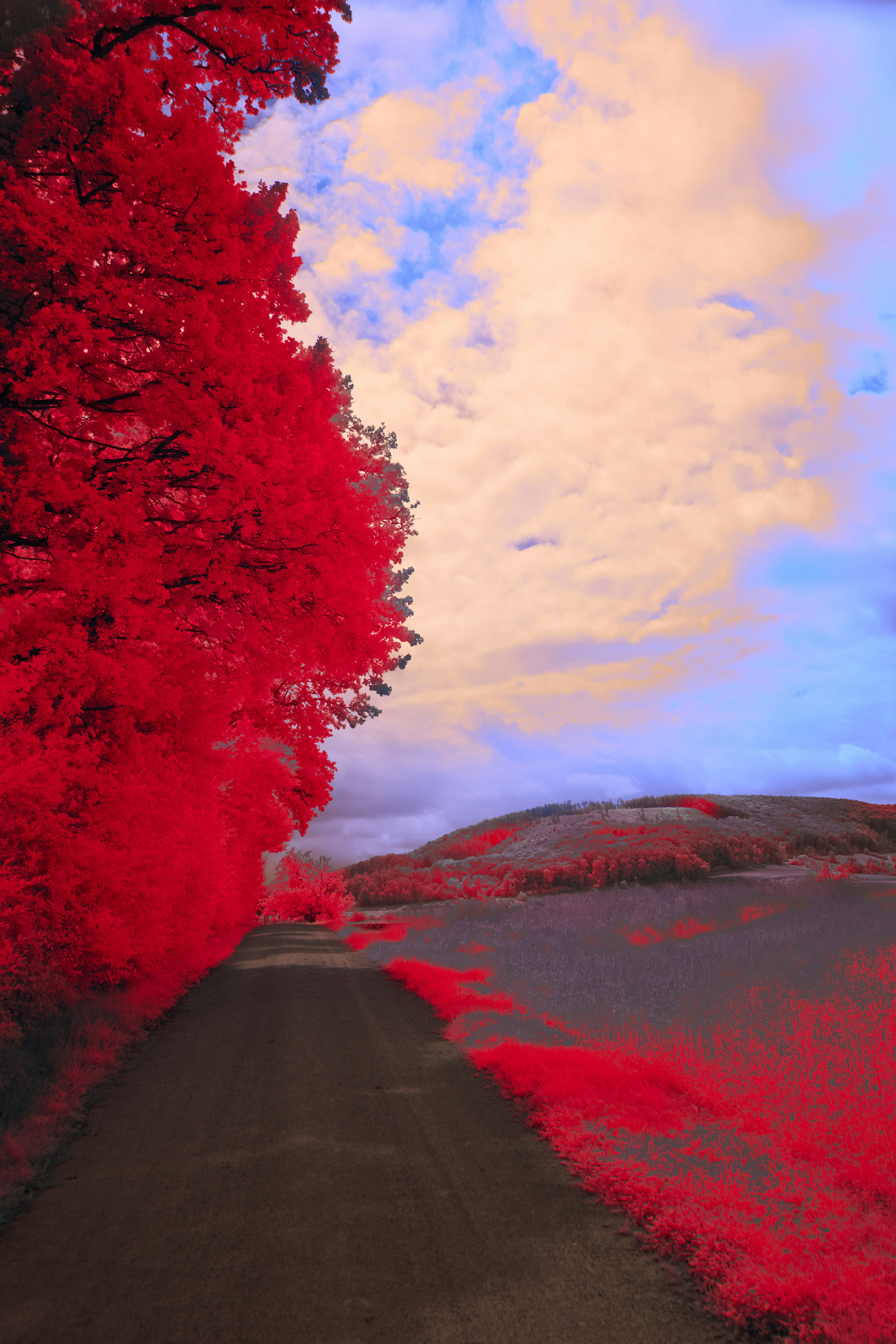 Photo by wolfgang_hasselmann