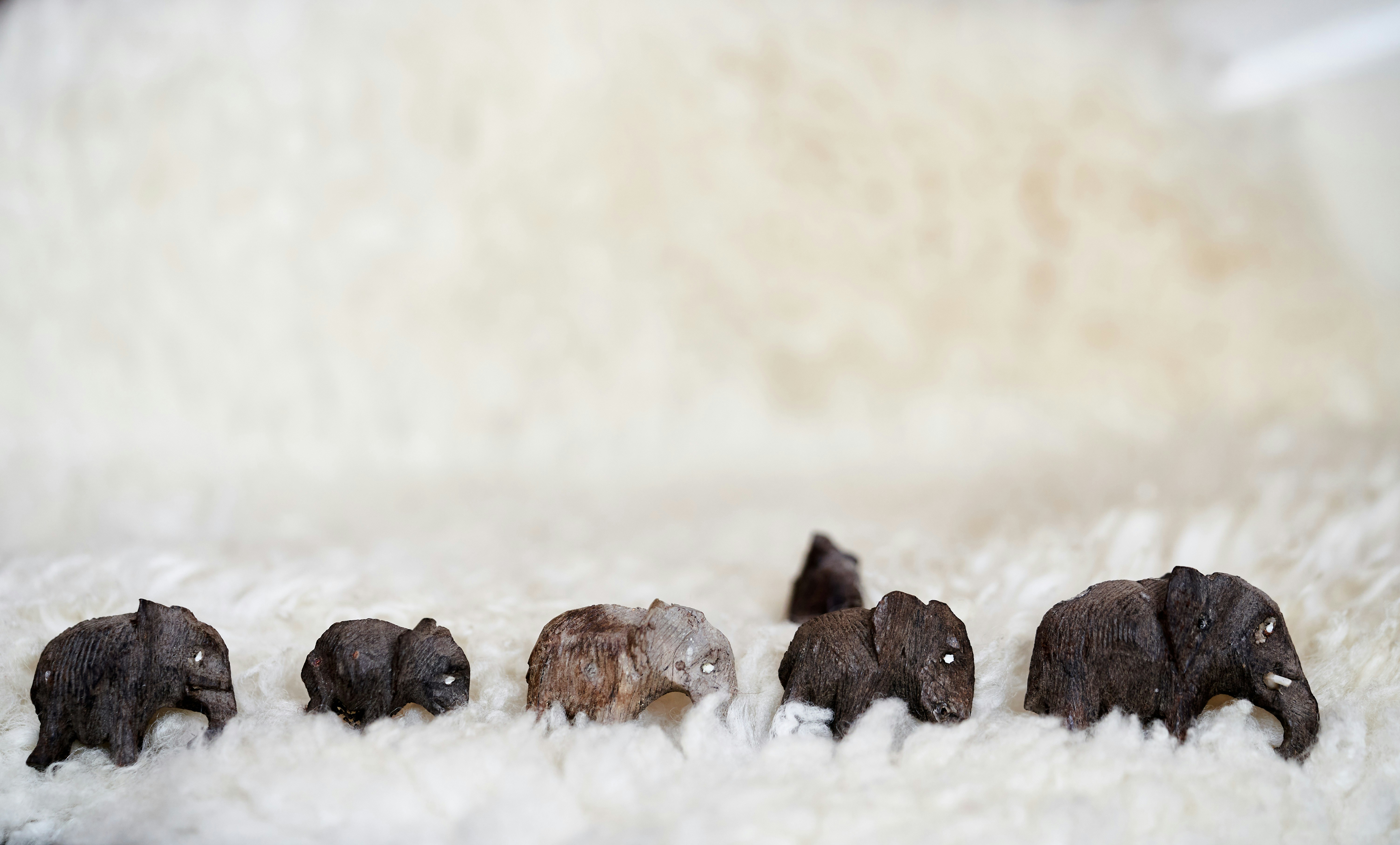 A group of small toy elephants on a white rug