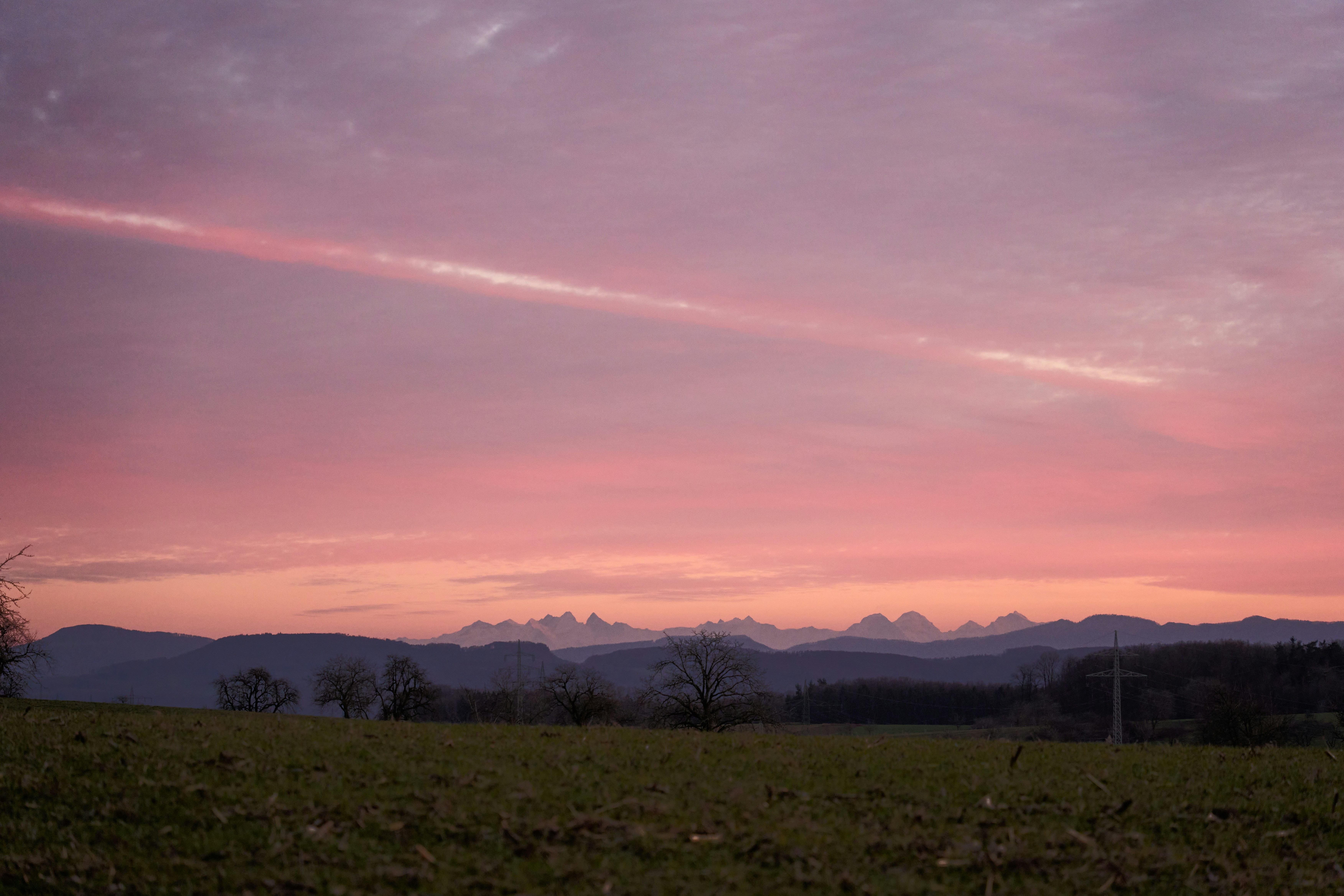 Photo by wolfgang_hasselmann