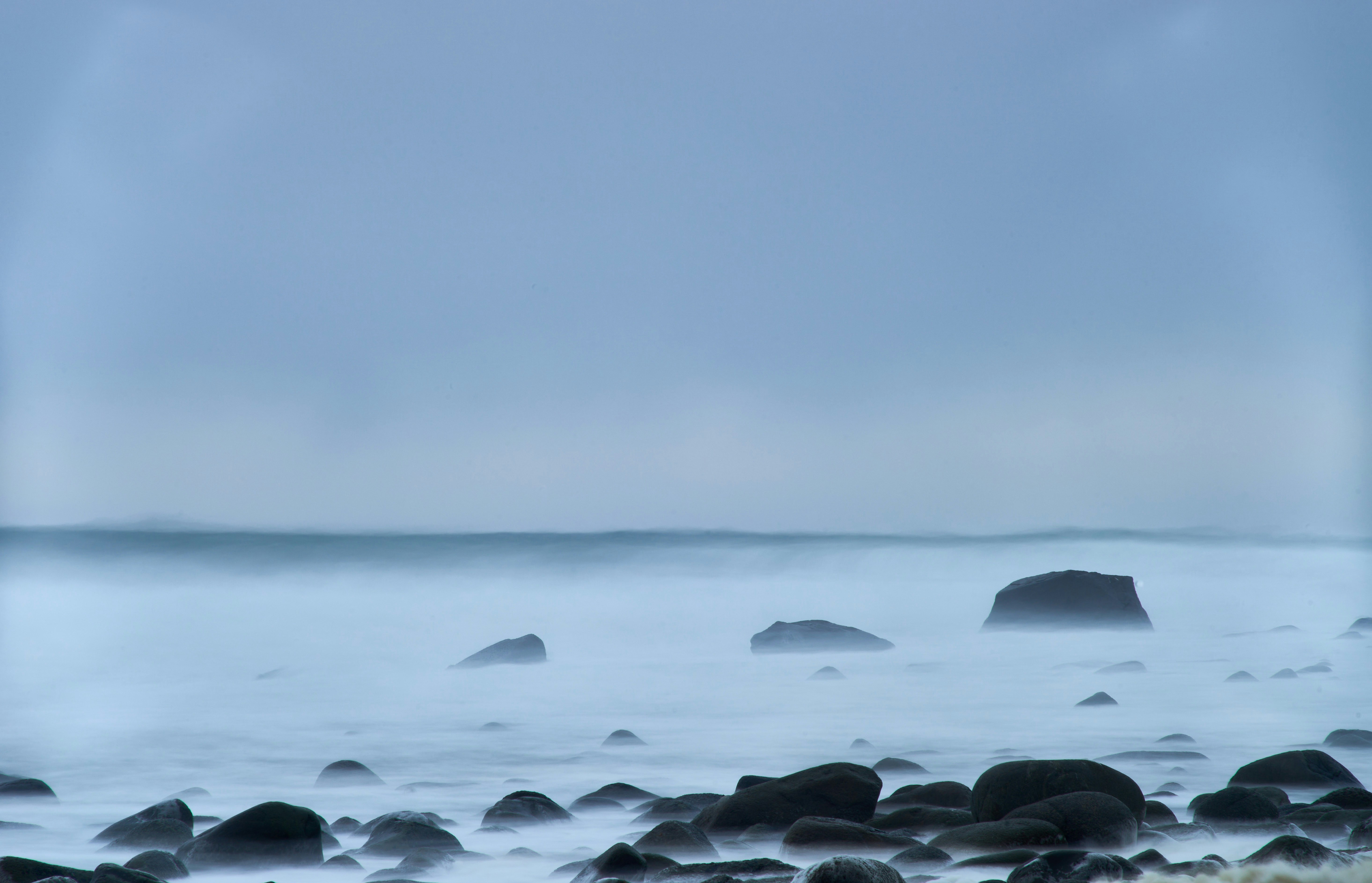 Photo by wolfgang_hasselmann