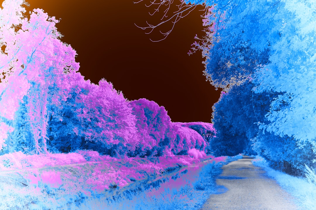 A blurry photo of a road with trees in the background,