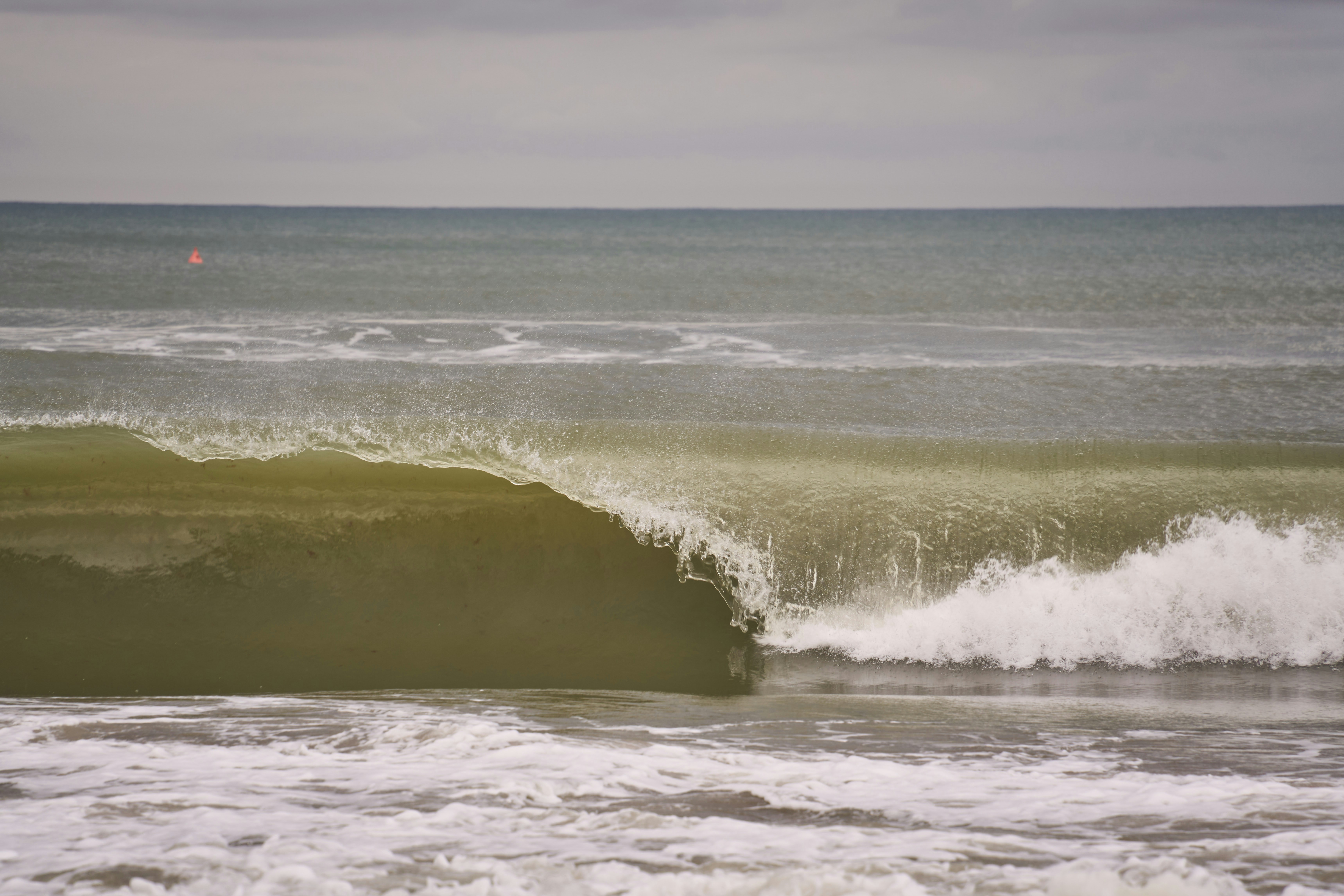 Photo by wolfgang_hasselmann