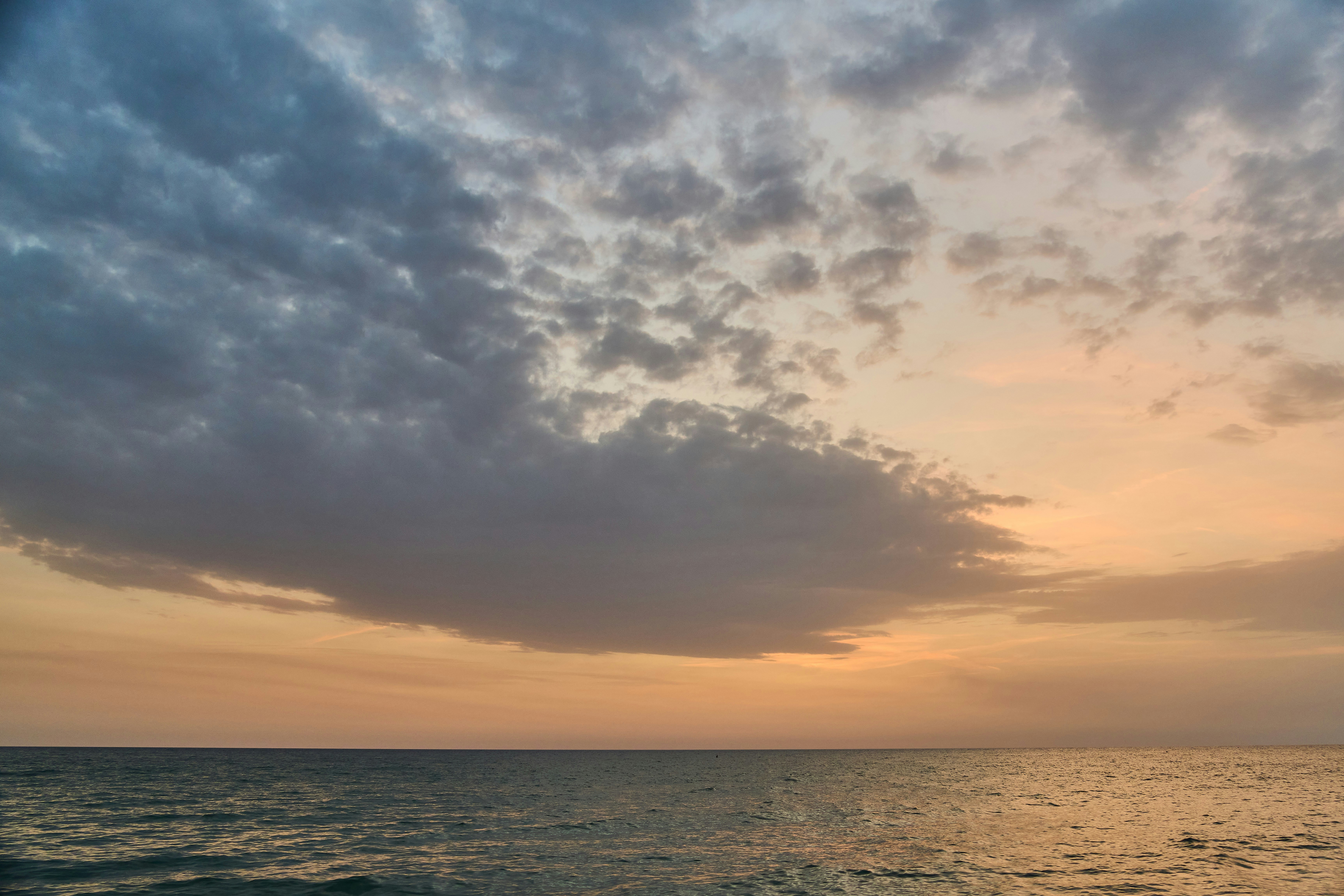 Photo by wolfgang_hasselmann